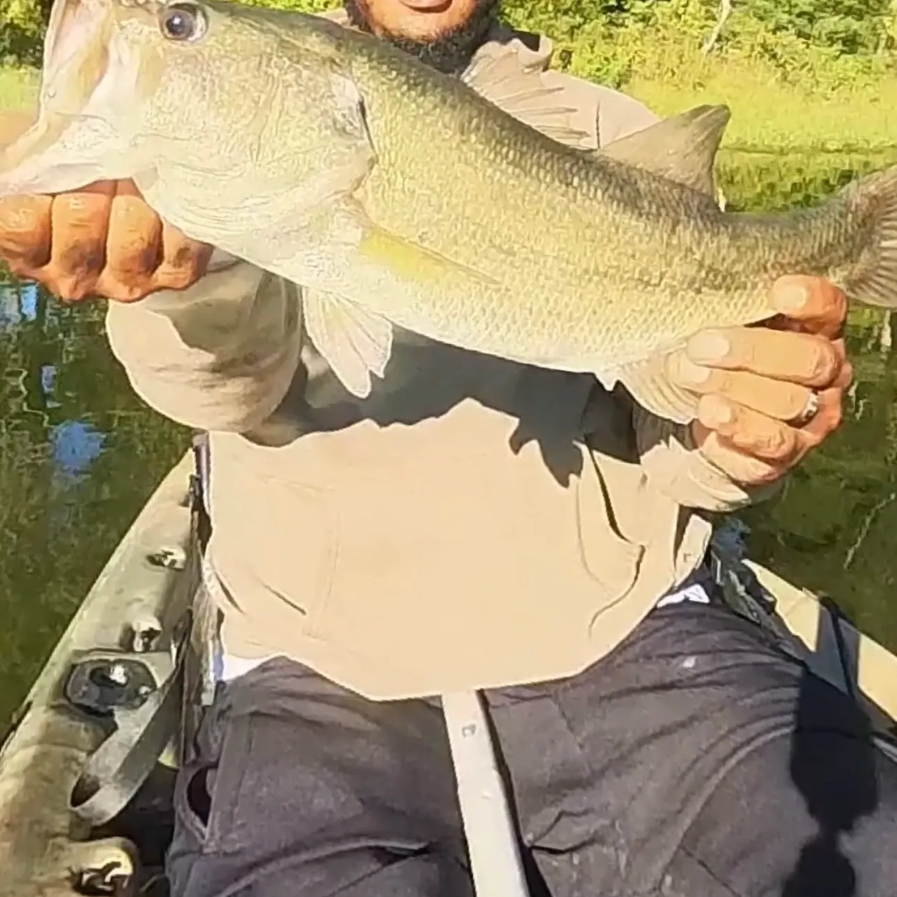 Largemouth bass caught on Fishbrain