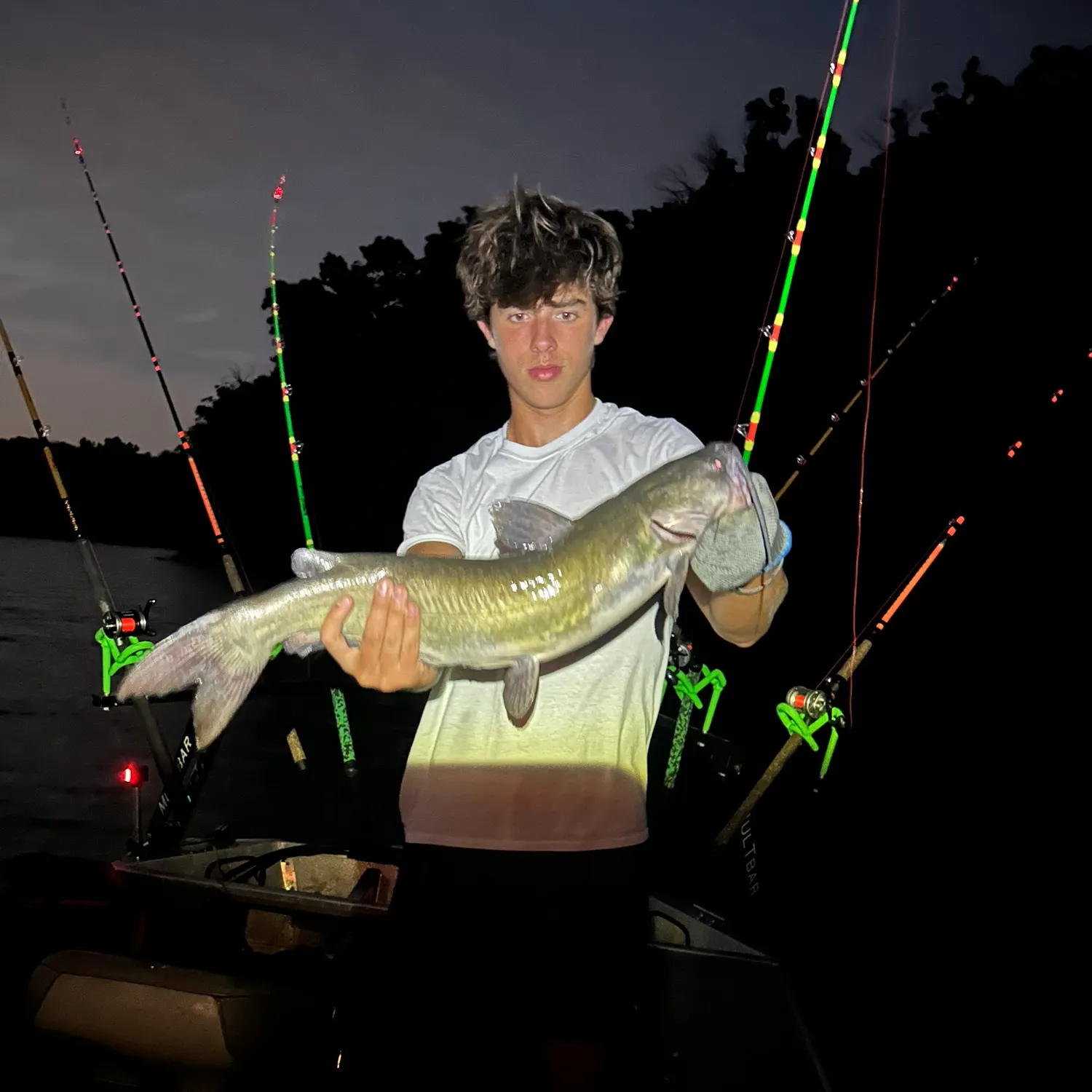 Channel catfish caught on Fishbrain