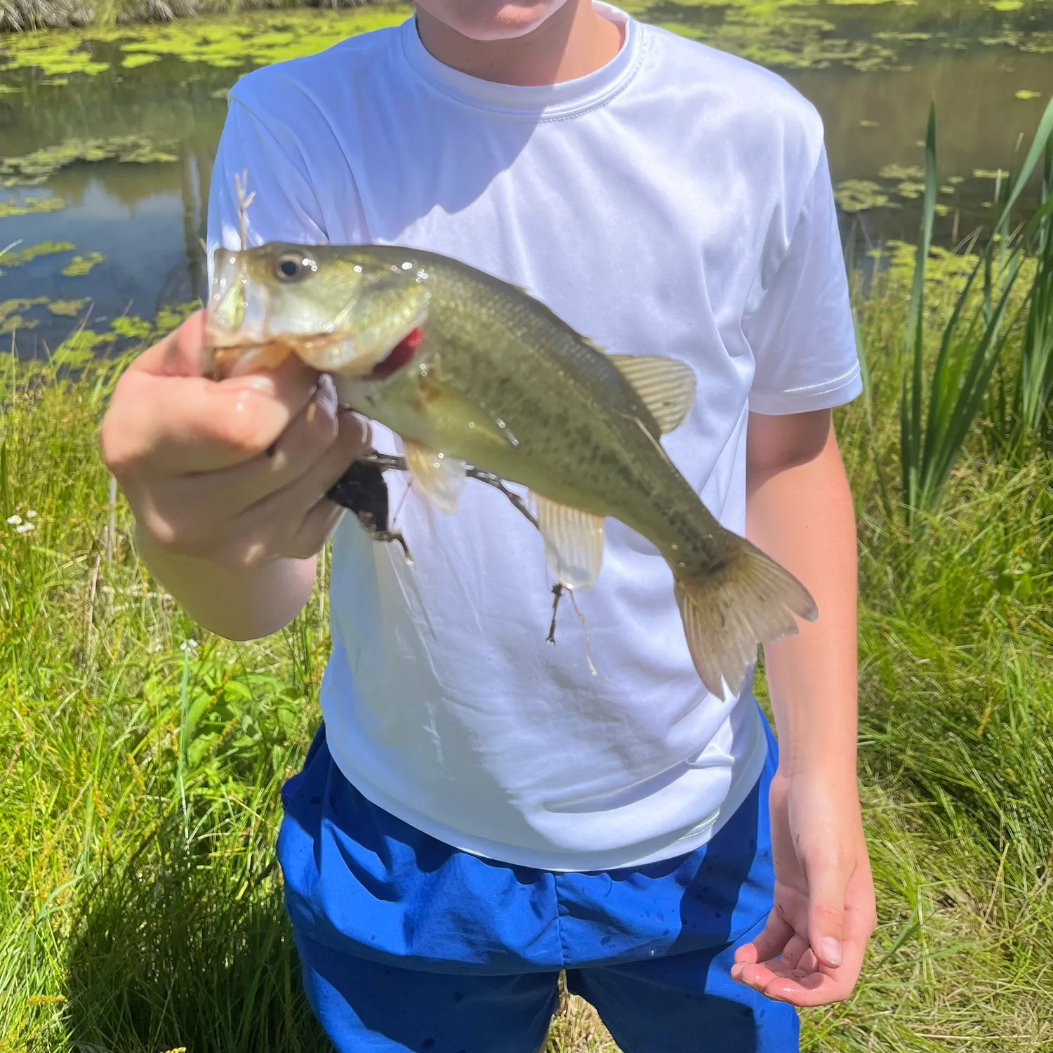 angler catch