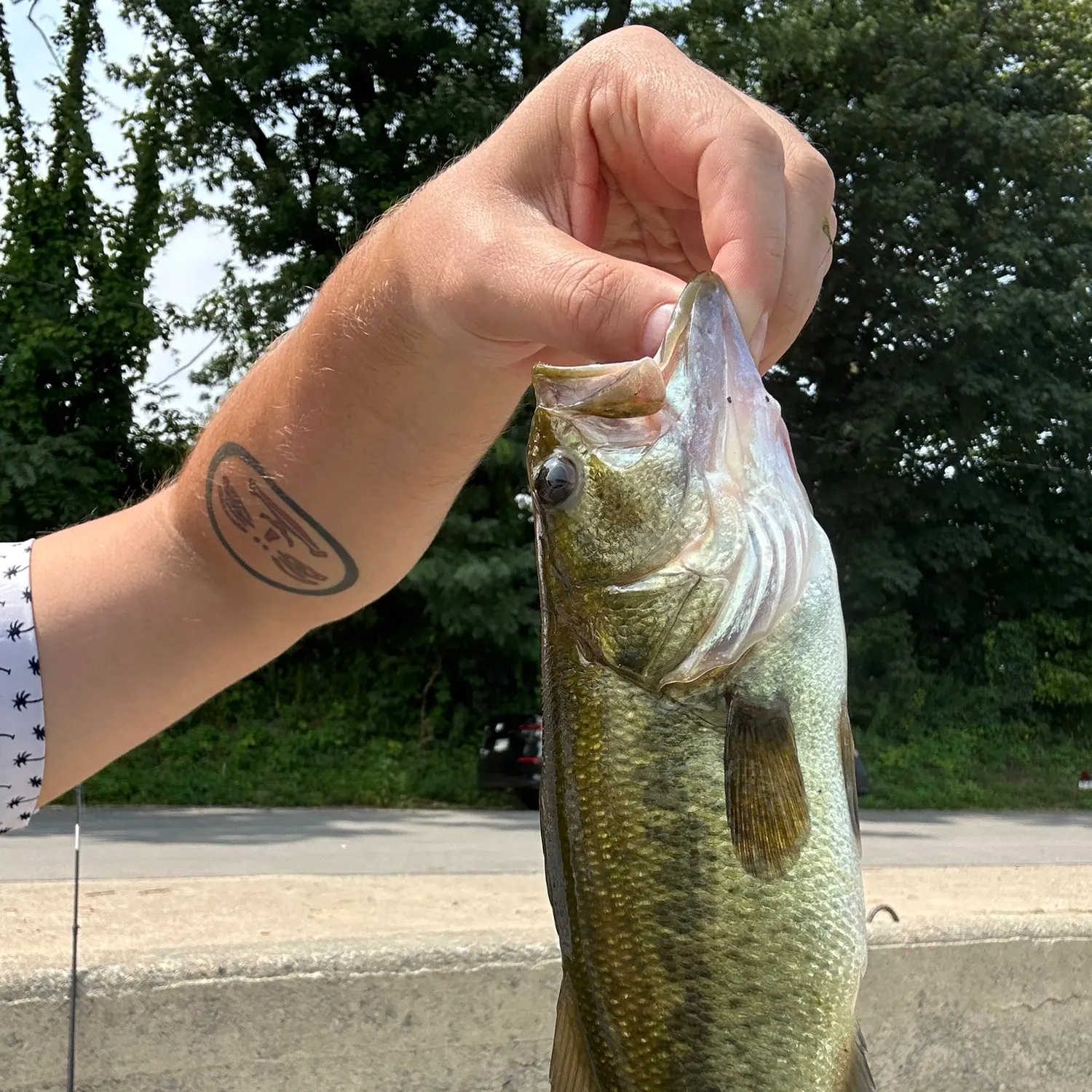 catch