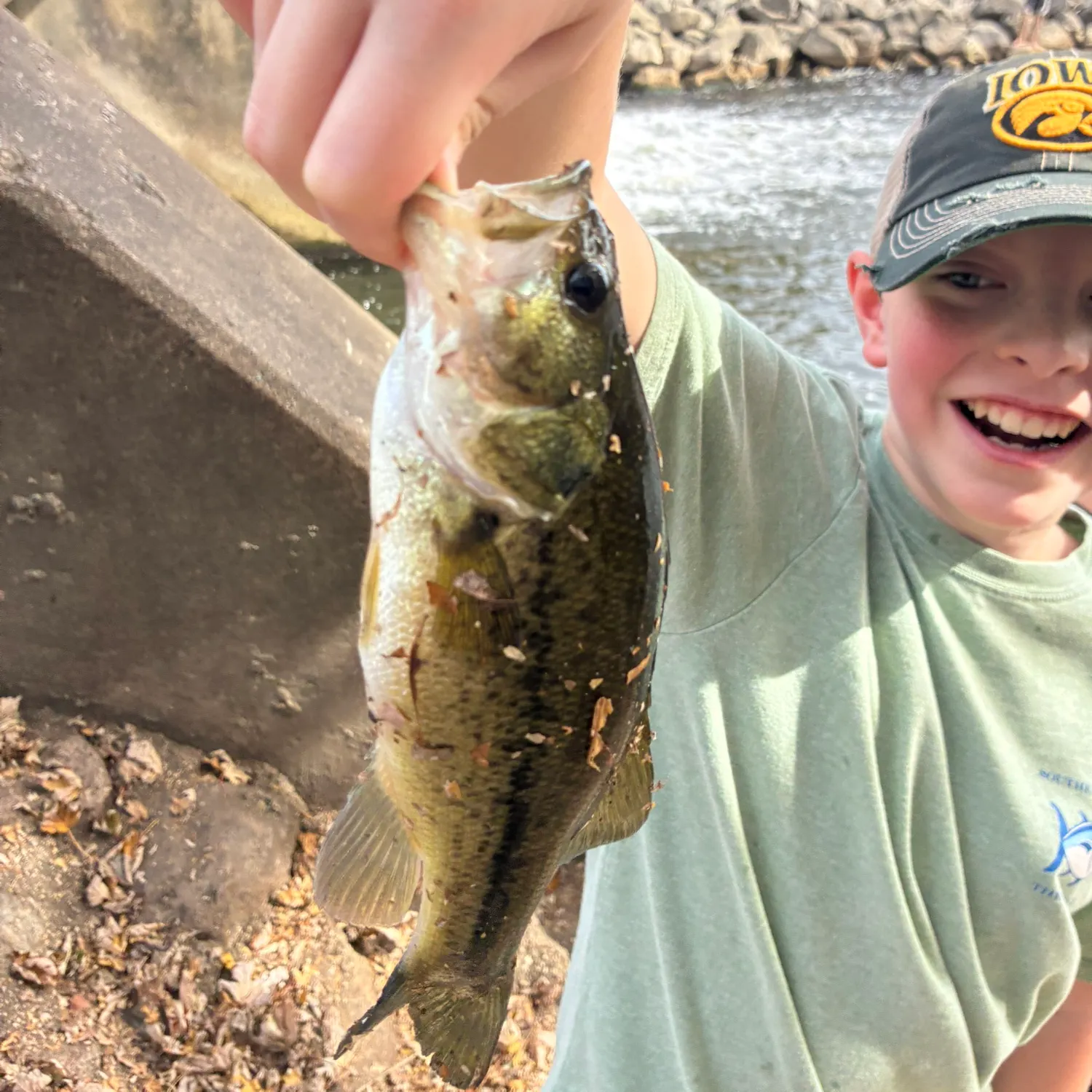 Largemouth bass caught on Fishbrain