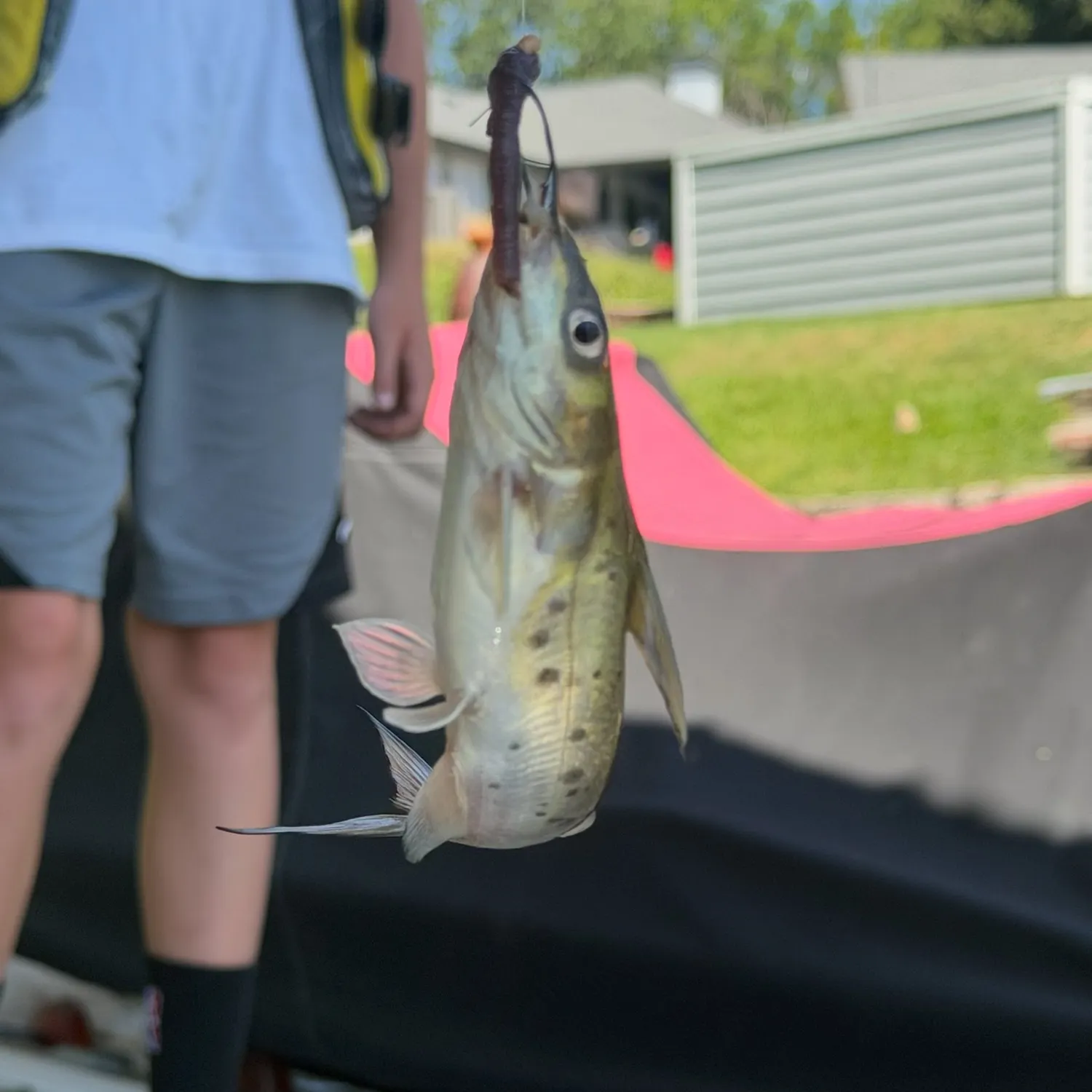 catch