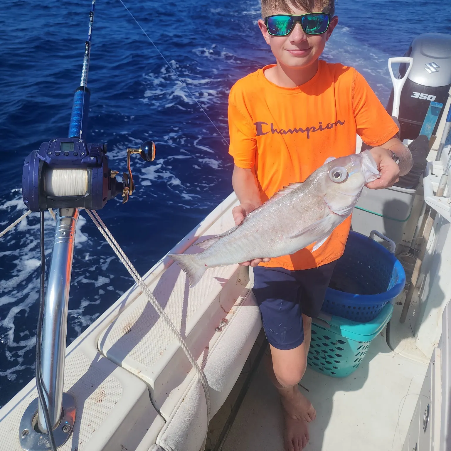 The most recent Grey tilefish catches on Fishbrain