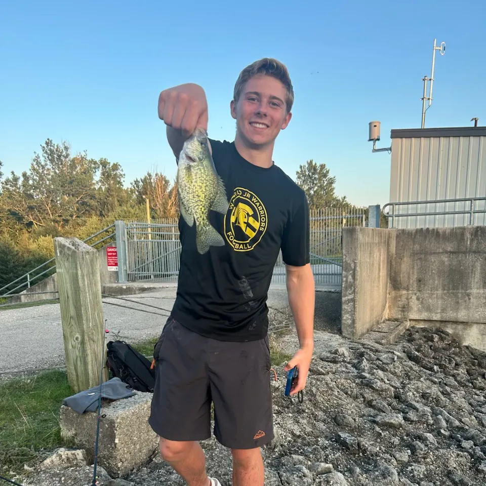 Black crappie caught on Fishbrain
