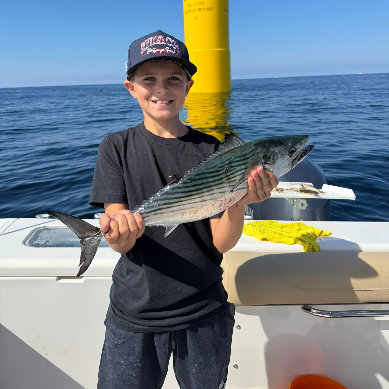 The most recent Atlantic bonito catches on Fishbrain