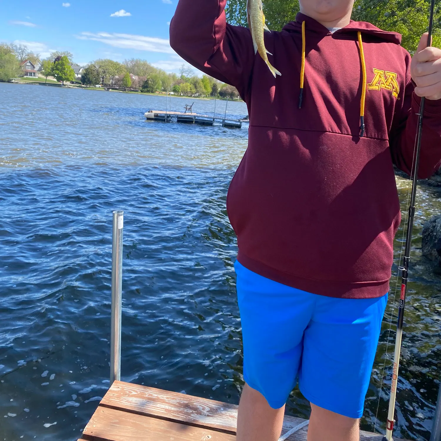 The most recent Shovelnose sturgeon catches on Fishbrain