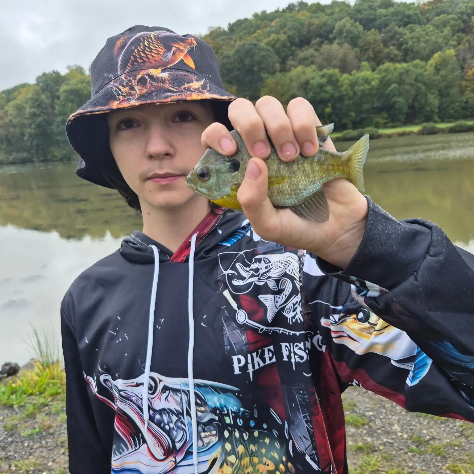 Bluegill caught on Fishbrain