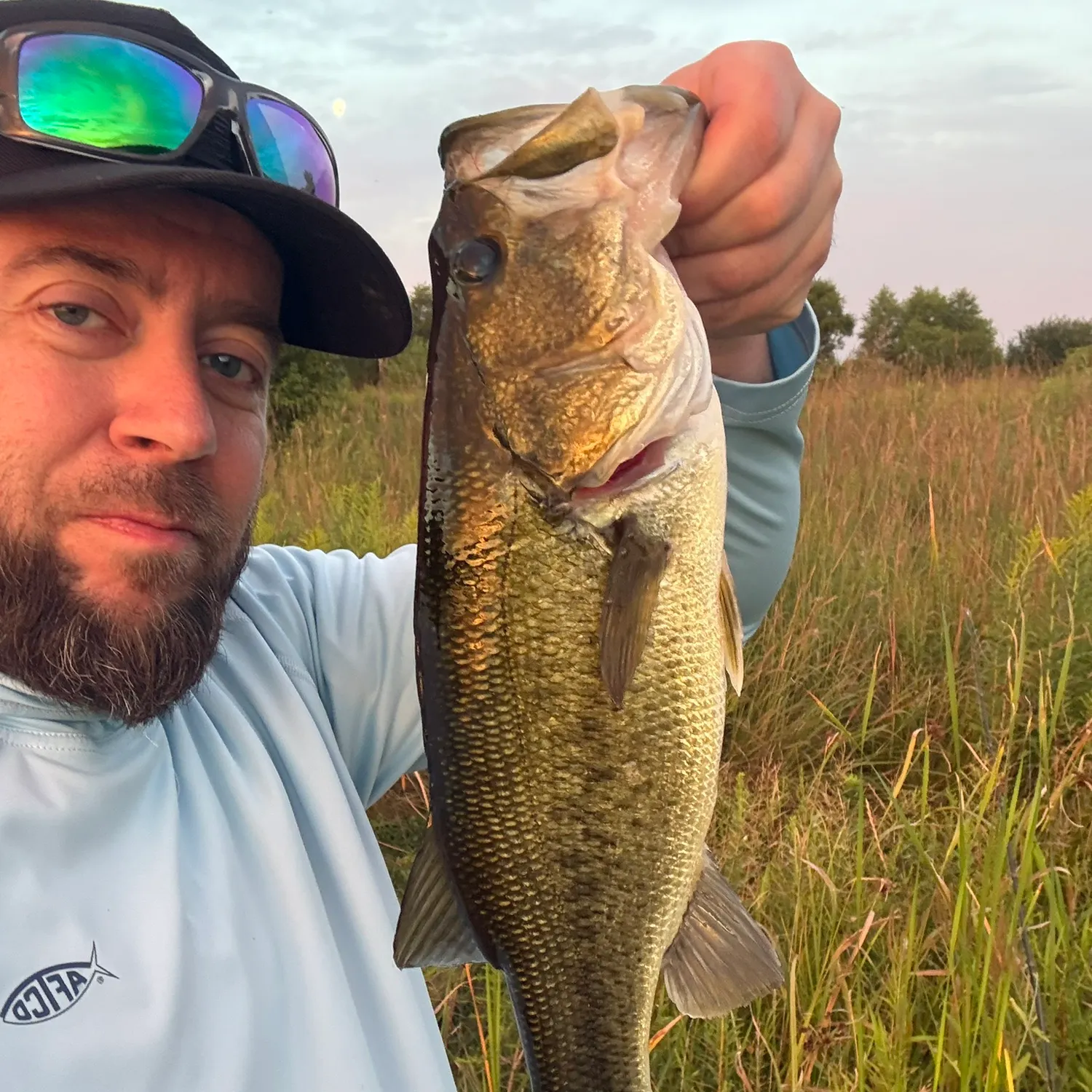 Largemouth bass caught on Fishbrain