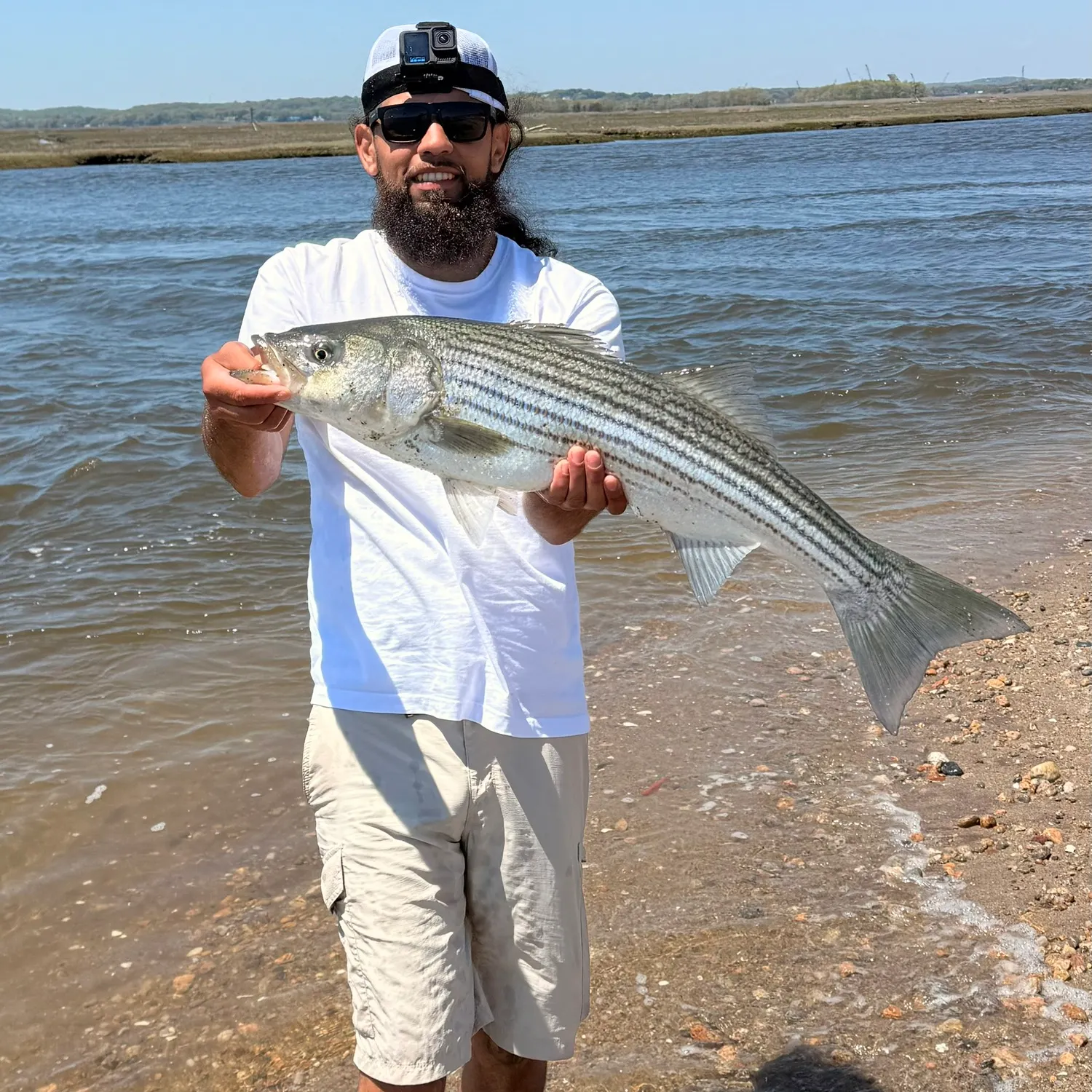 The most recent Striped bass catches on Fishbrain