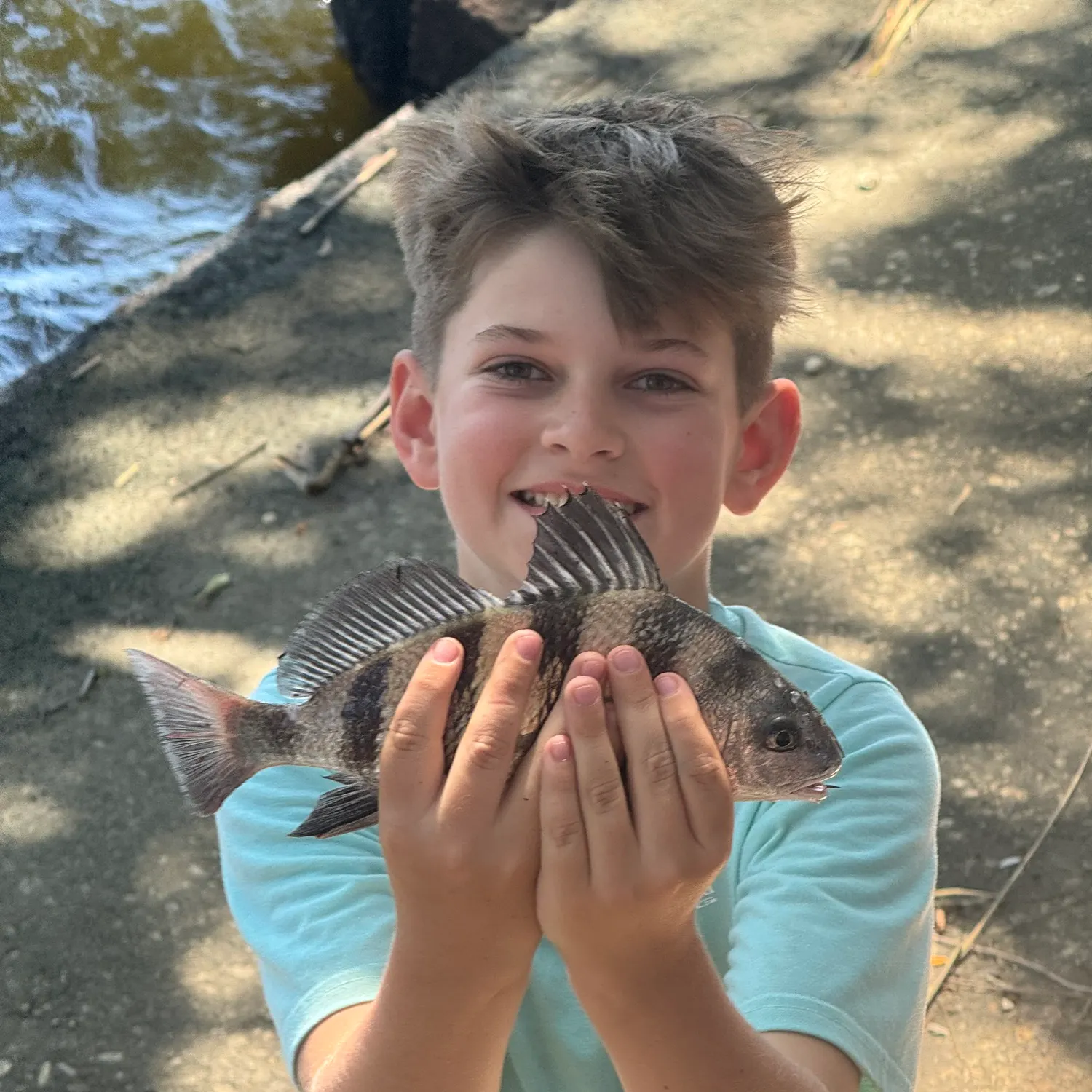 The most recent Black drum catches on Fishbrain