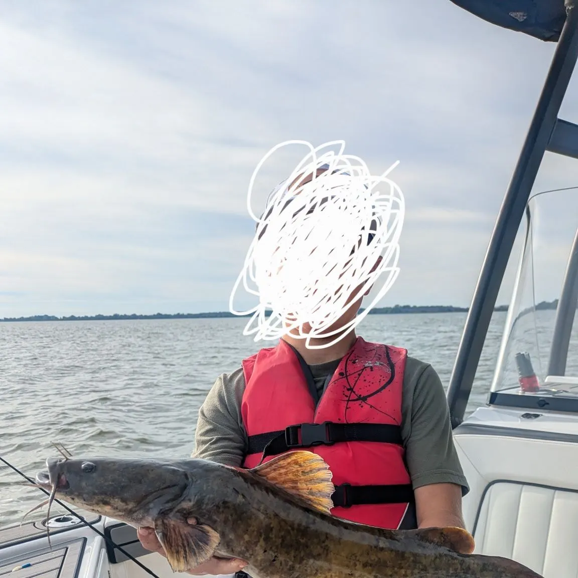 Flathead catfish caught on Fishbrain