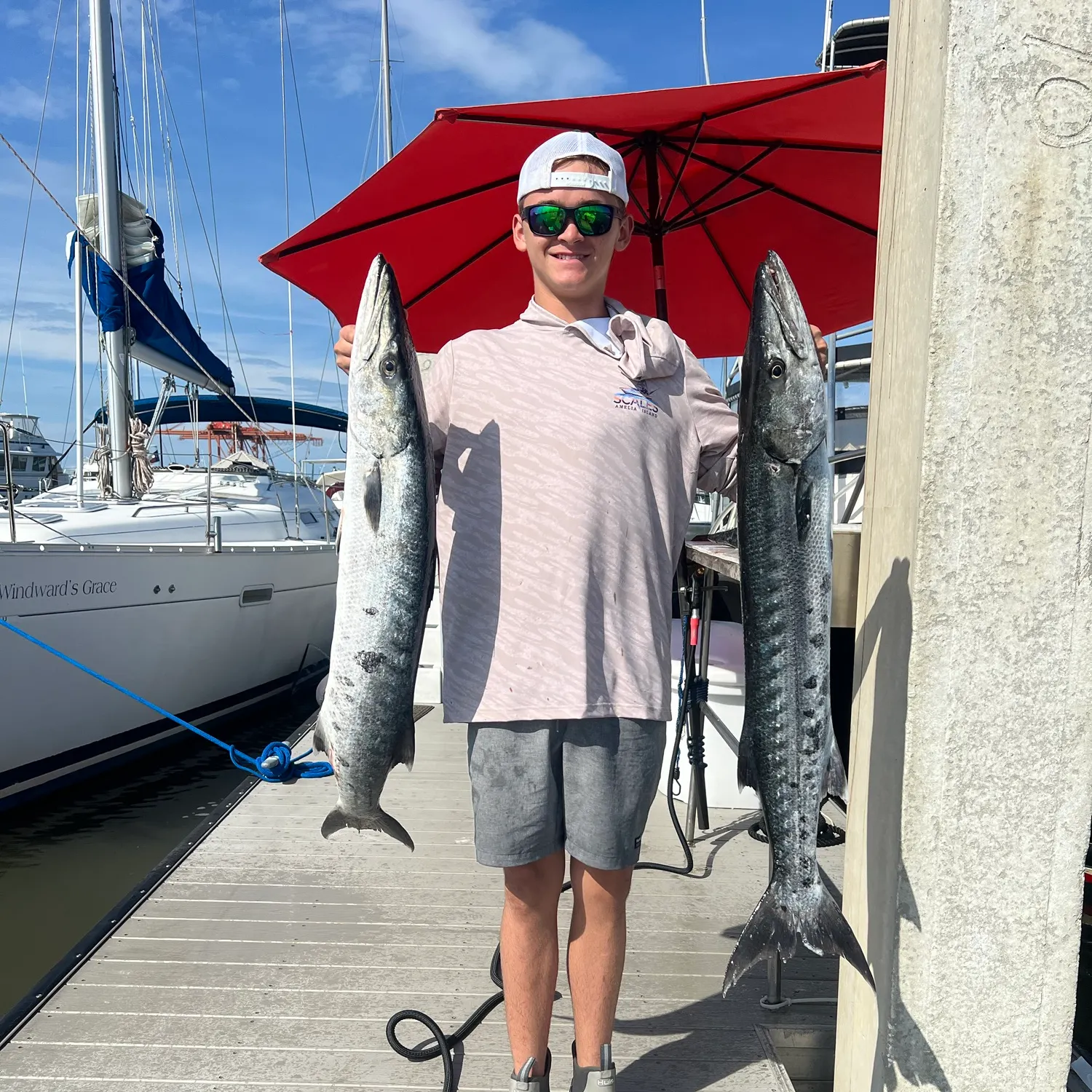 The most recent Great barracuda catches on Fishbrain