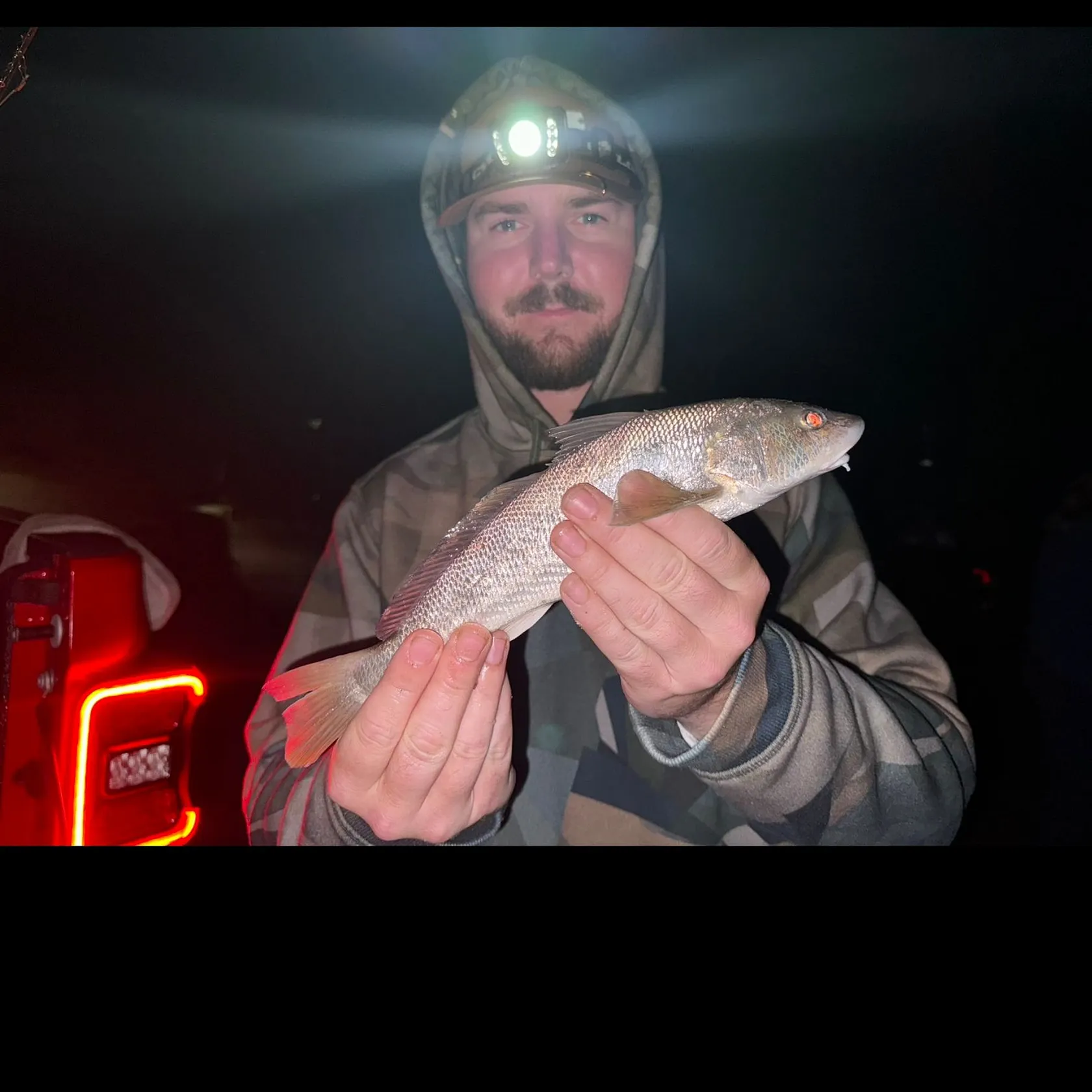 The most recent King George whiting catches on Fishbrain
