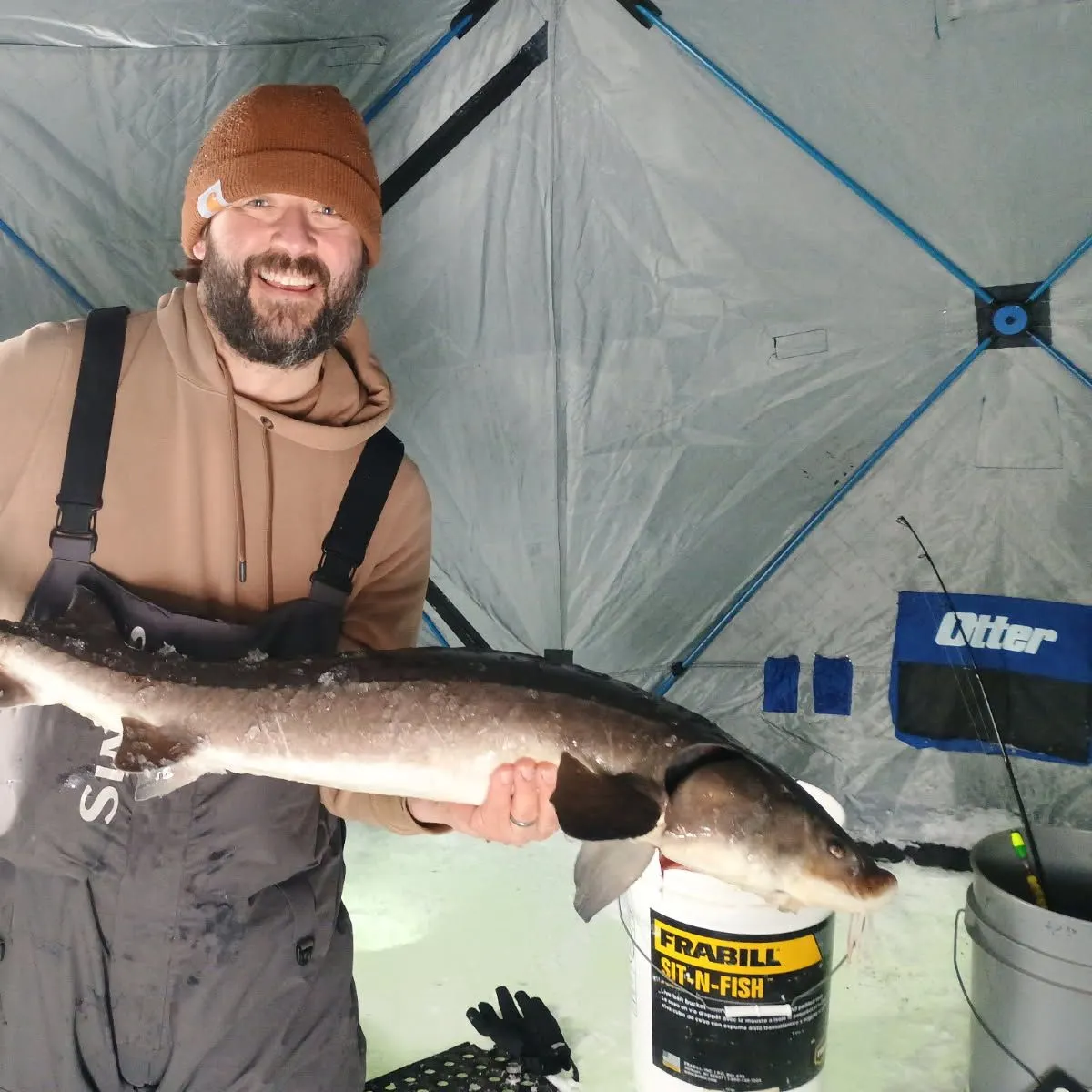 The most recent Lake sturgeon catches on Fishbrain
