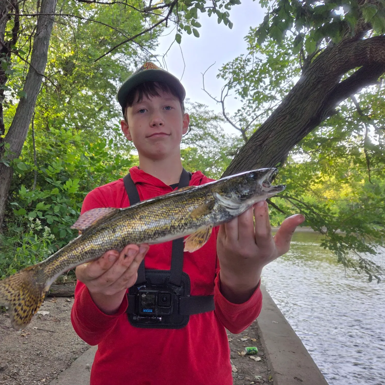 The most recent Sauger catches on Fishbrain