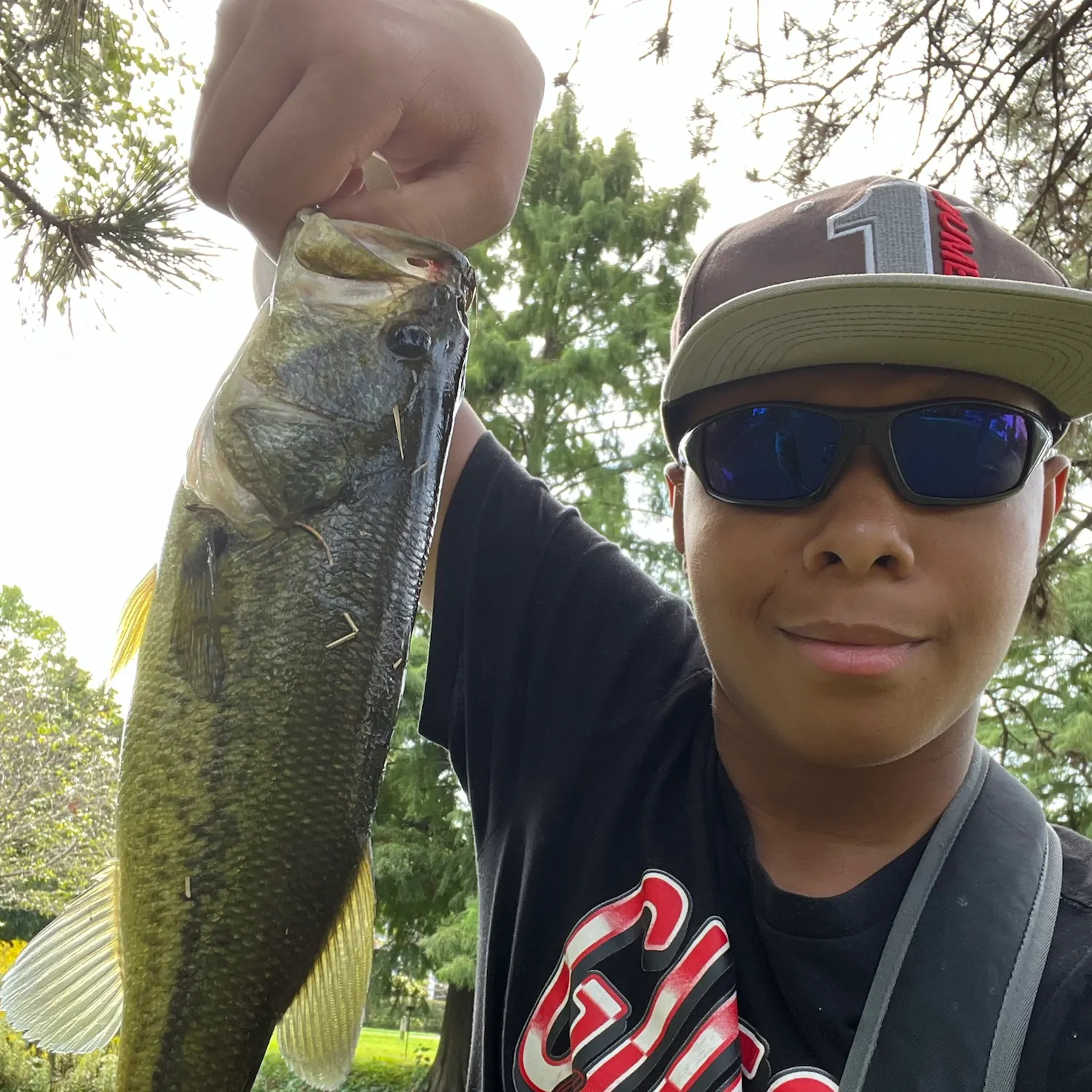 Largemouth bass caught on Fishbrain