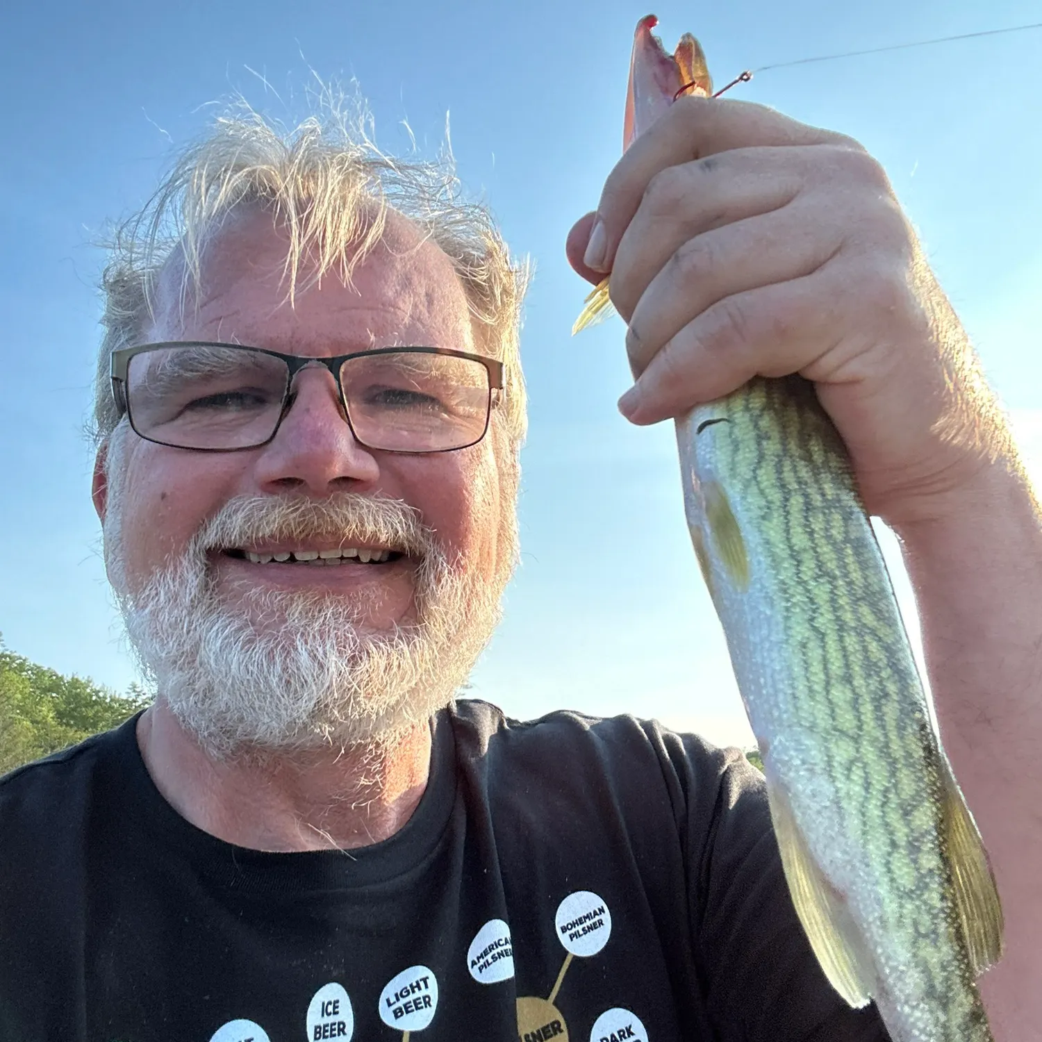 The most recent Chain pickerel catches on Fishbrain