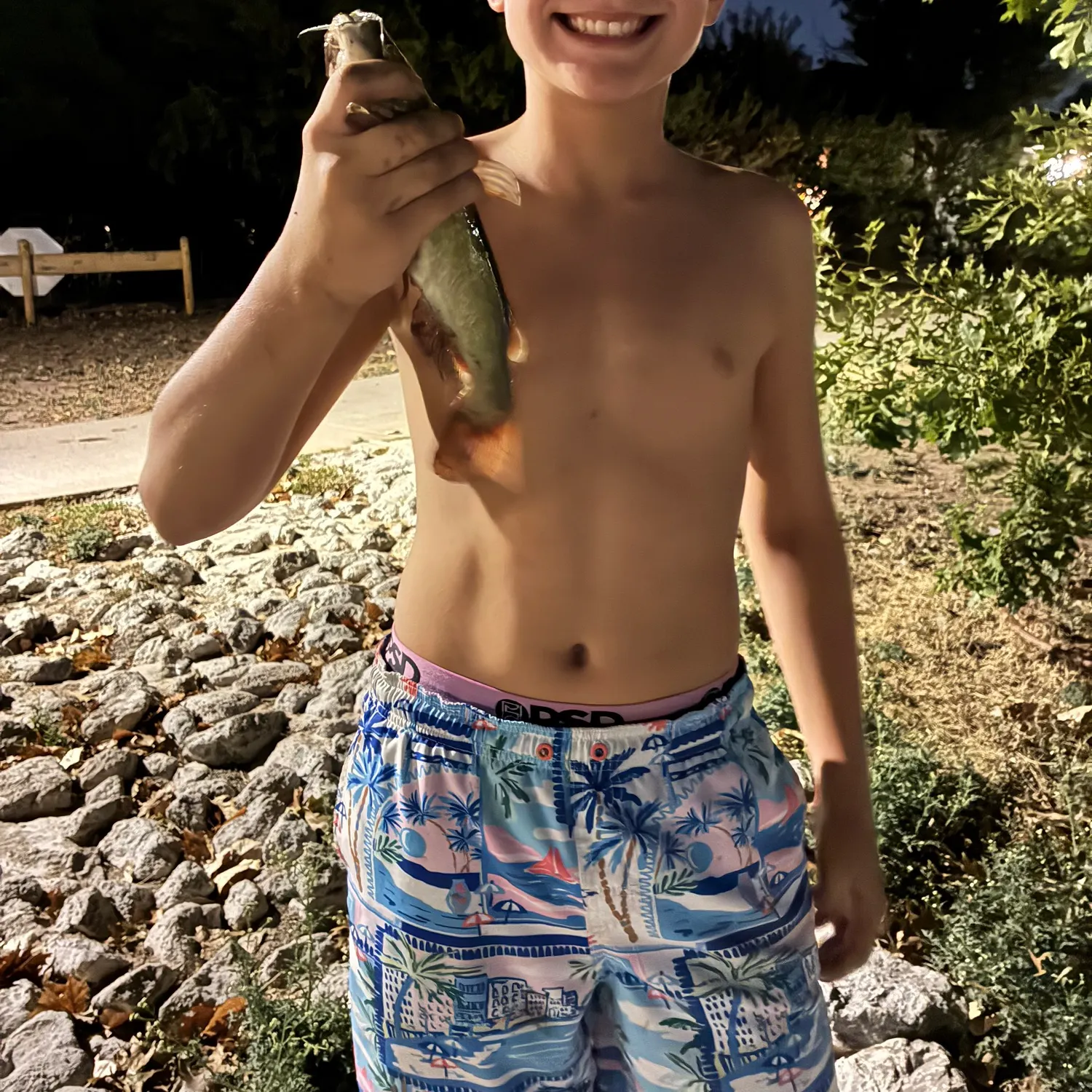 Fish caught on Fishbrain