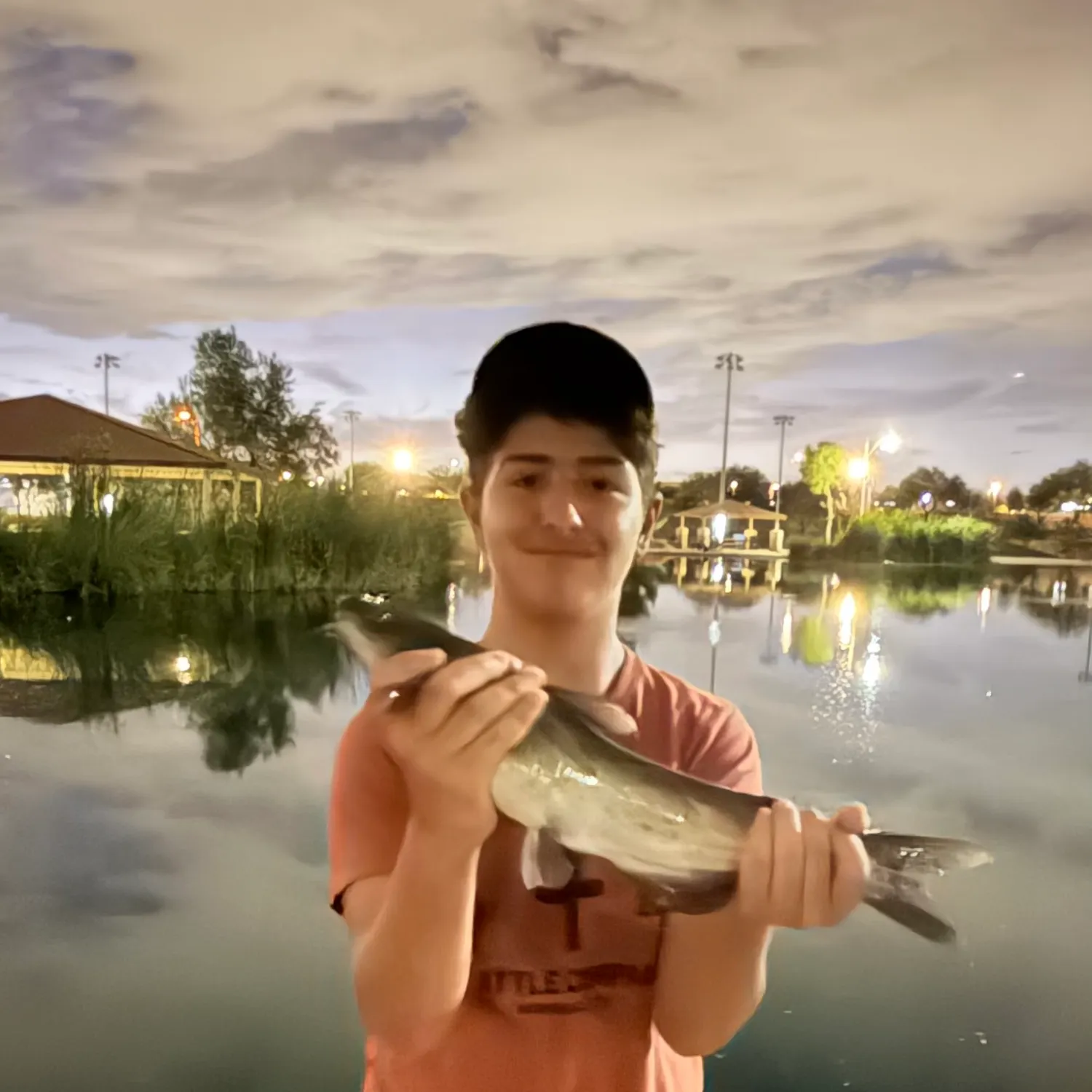 Channel catfish caught on Fishbrain
