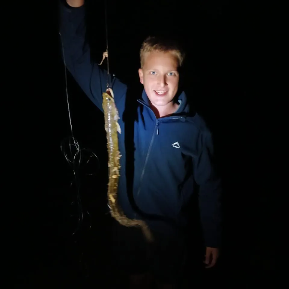 The most recent Common pike conger catches on Fishbrain