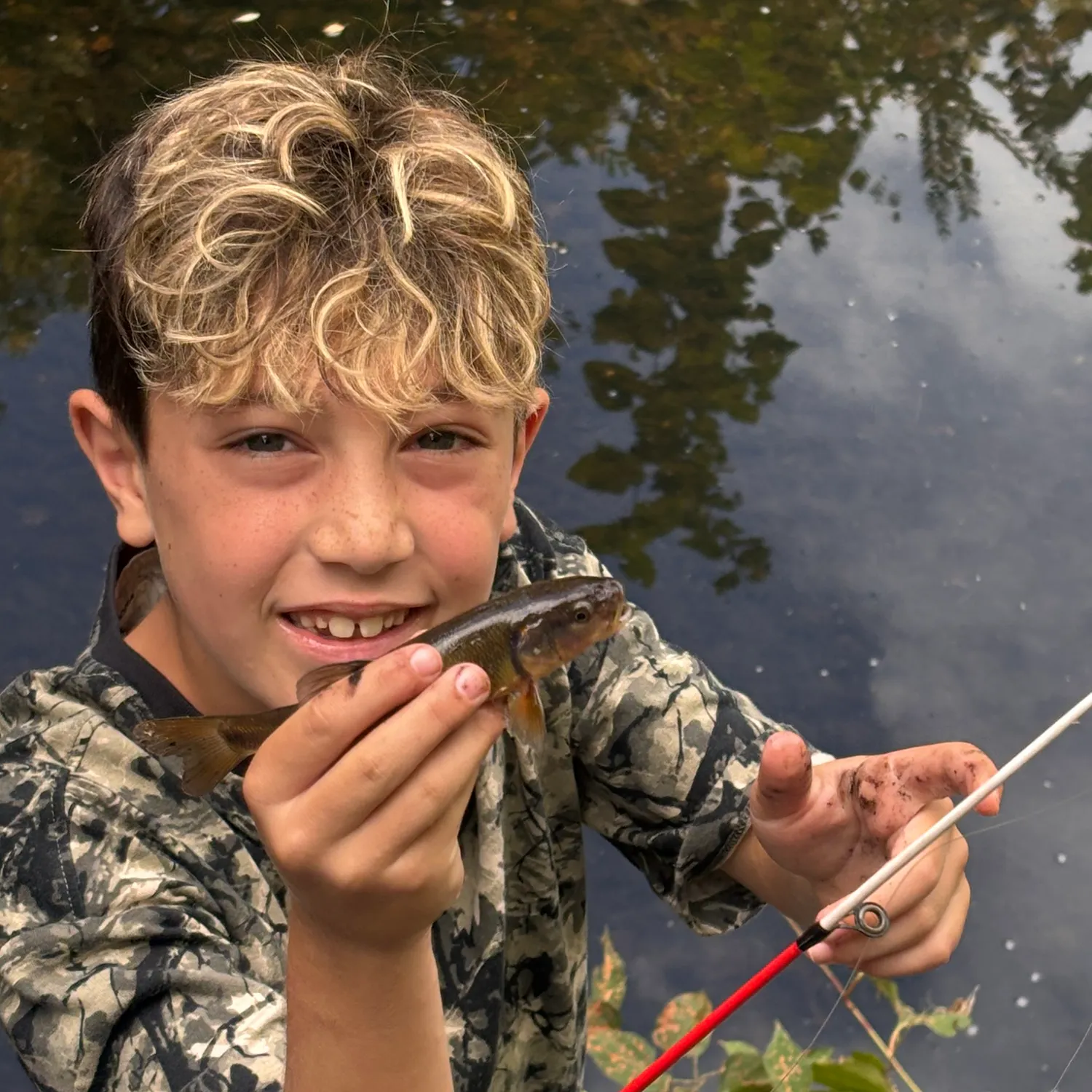 White sucker caught on Fishbrain