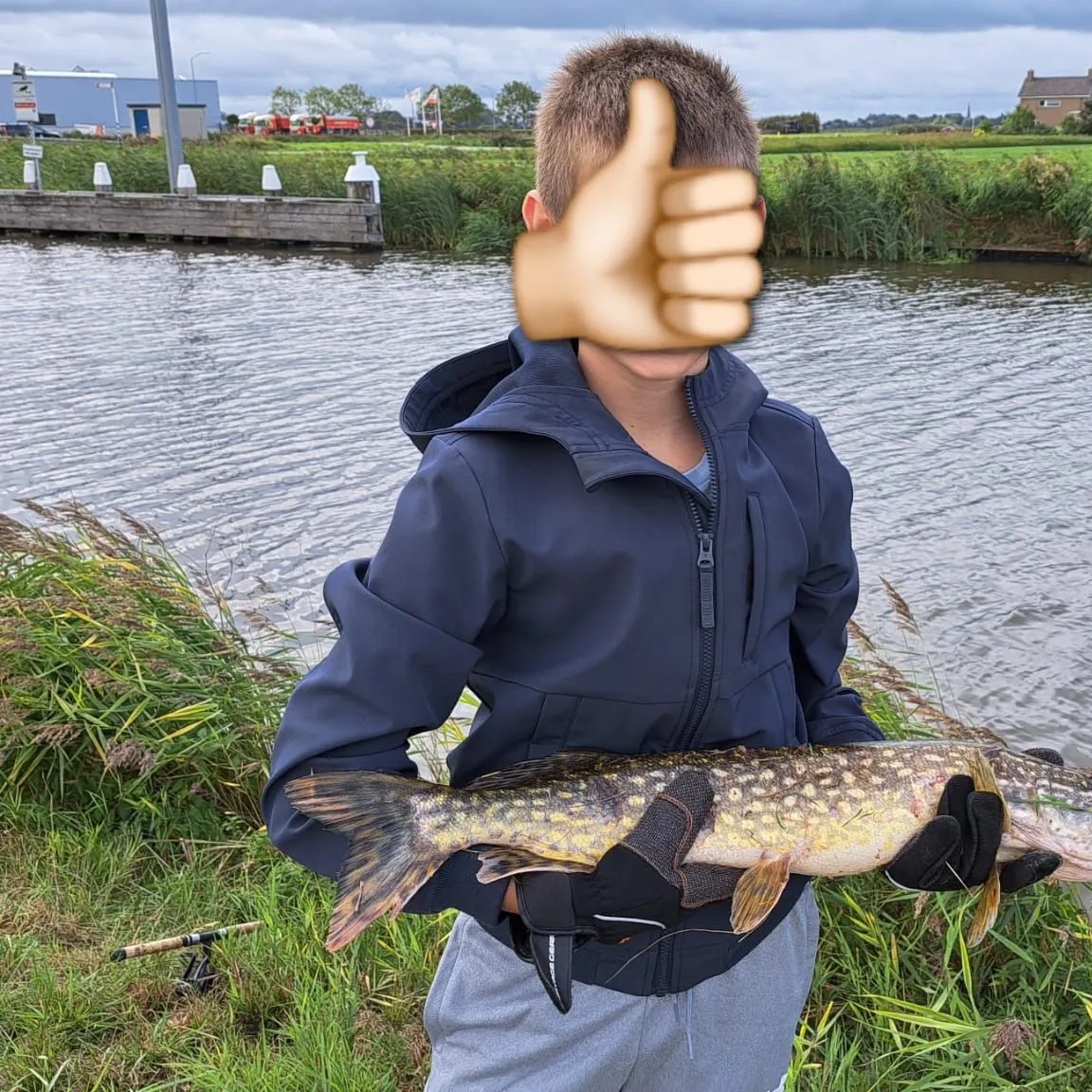 Northern pike caught on Fishbrain