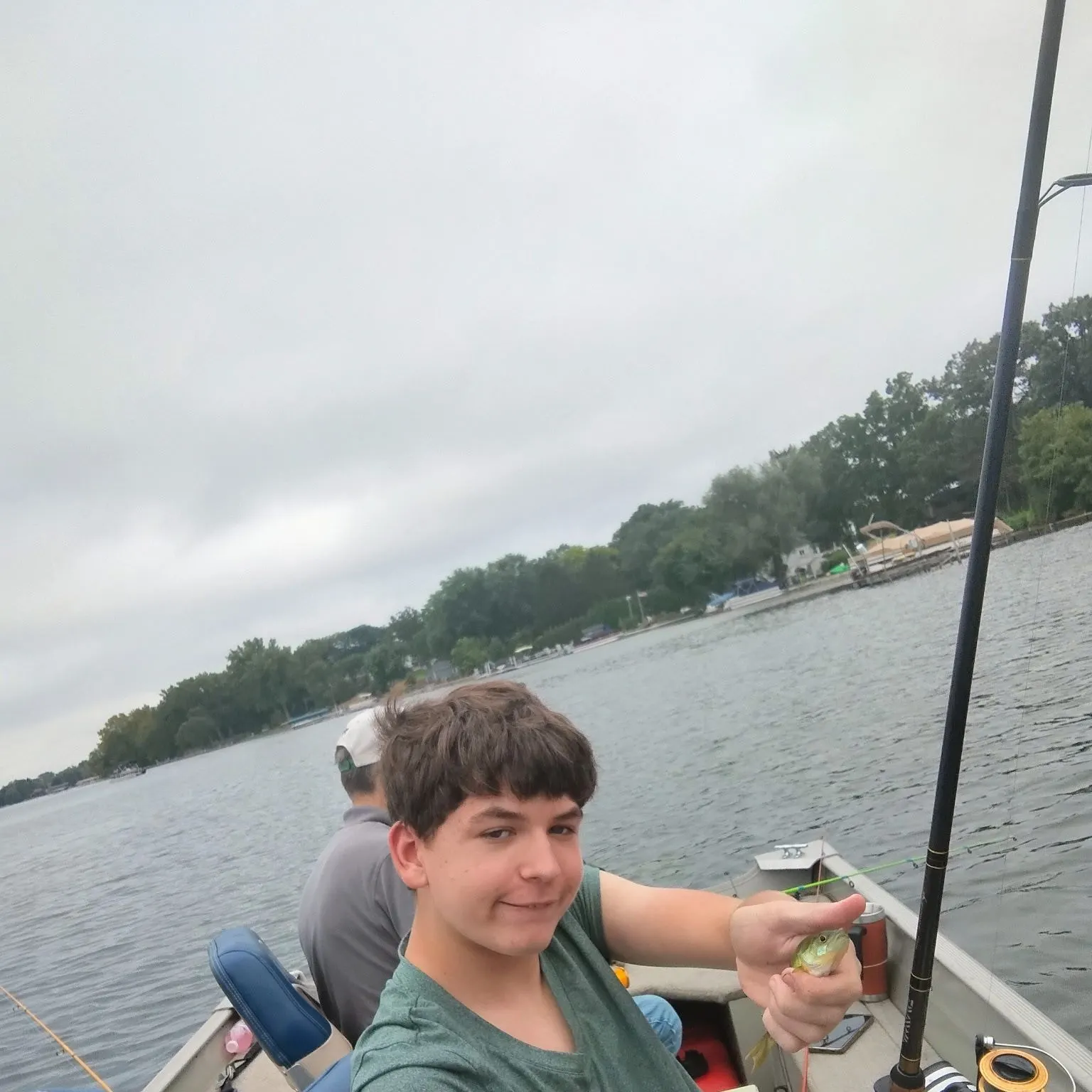 Yellow perch caught on Fishbrain