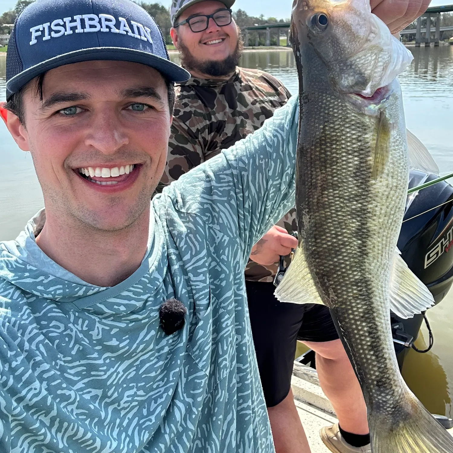 The most recent Alabama bass catches on Fishbrain