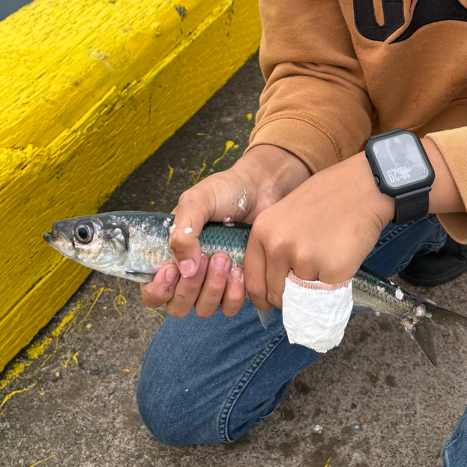 catch