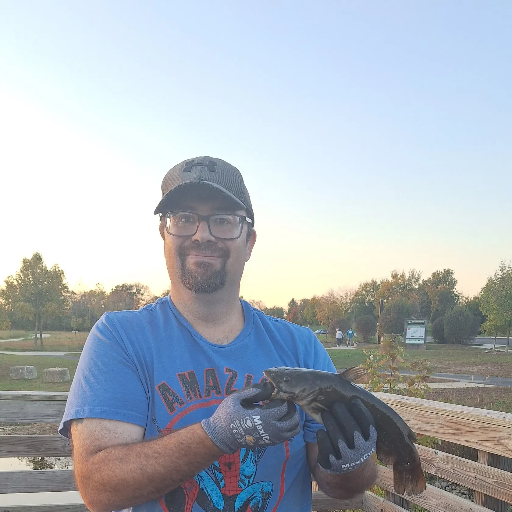 Black bullhead caught on Fishbrain