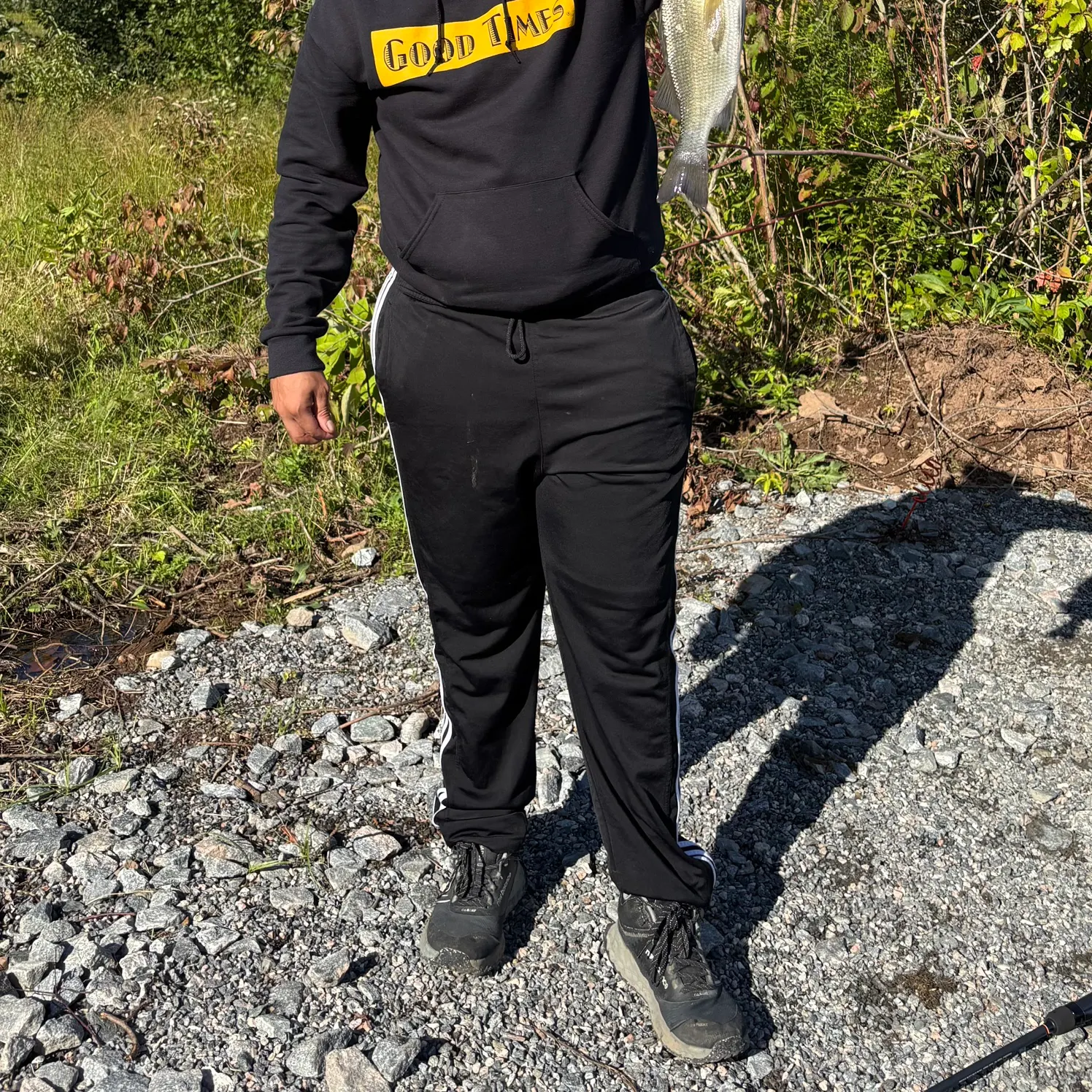 White perch caught on Fishbrain