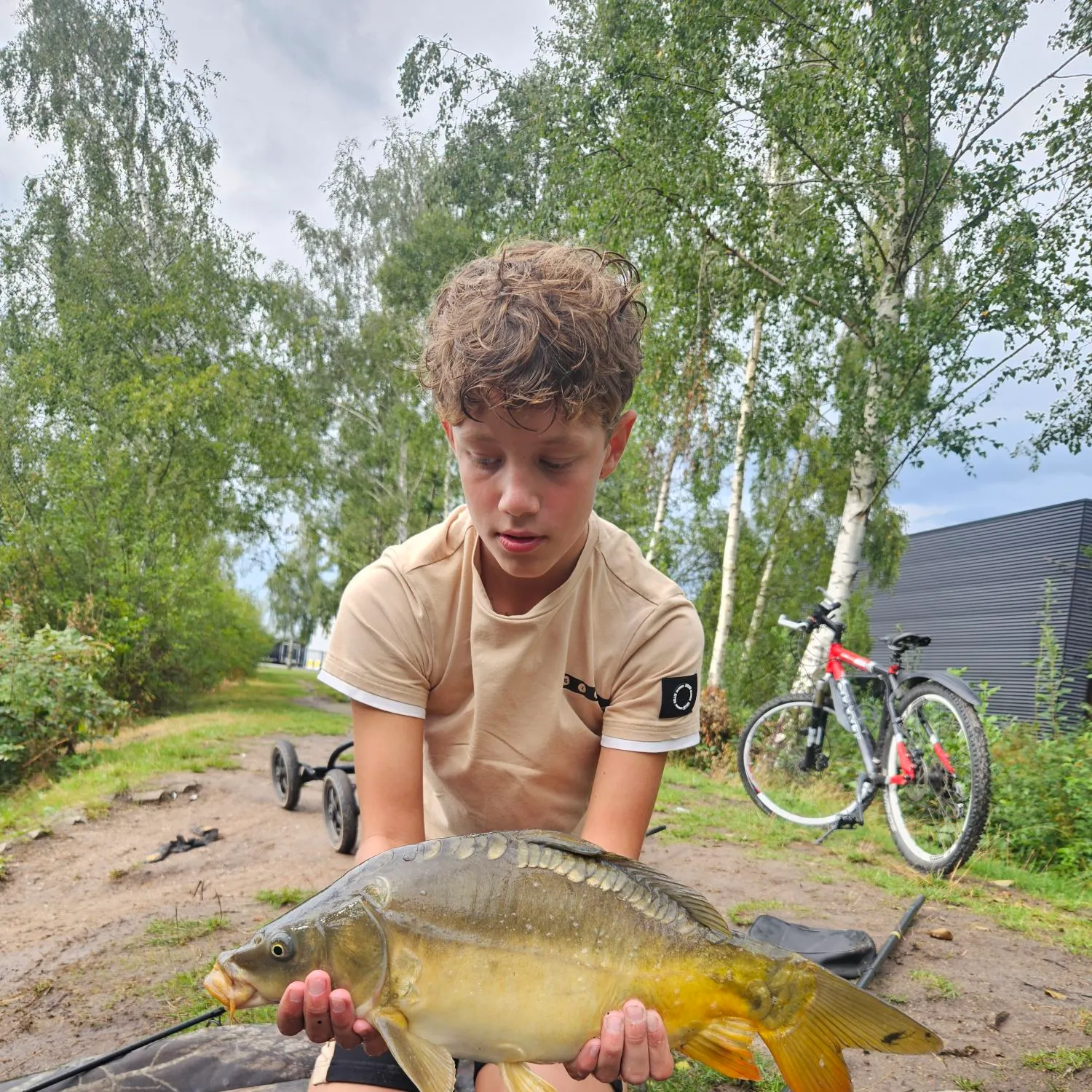 Leather carp caught on Fishbrain