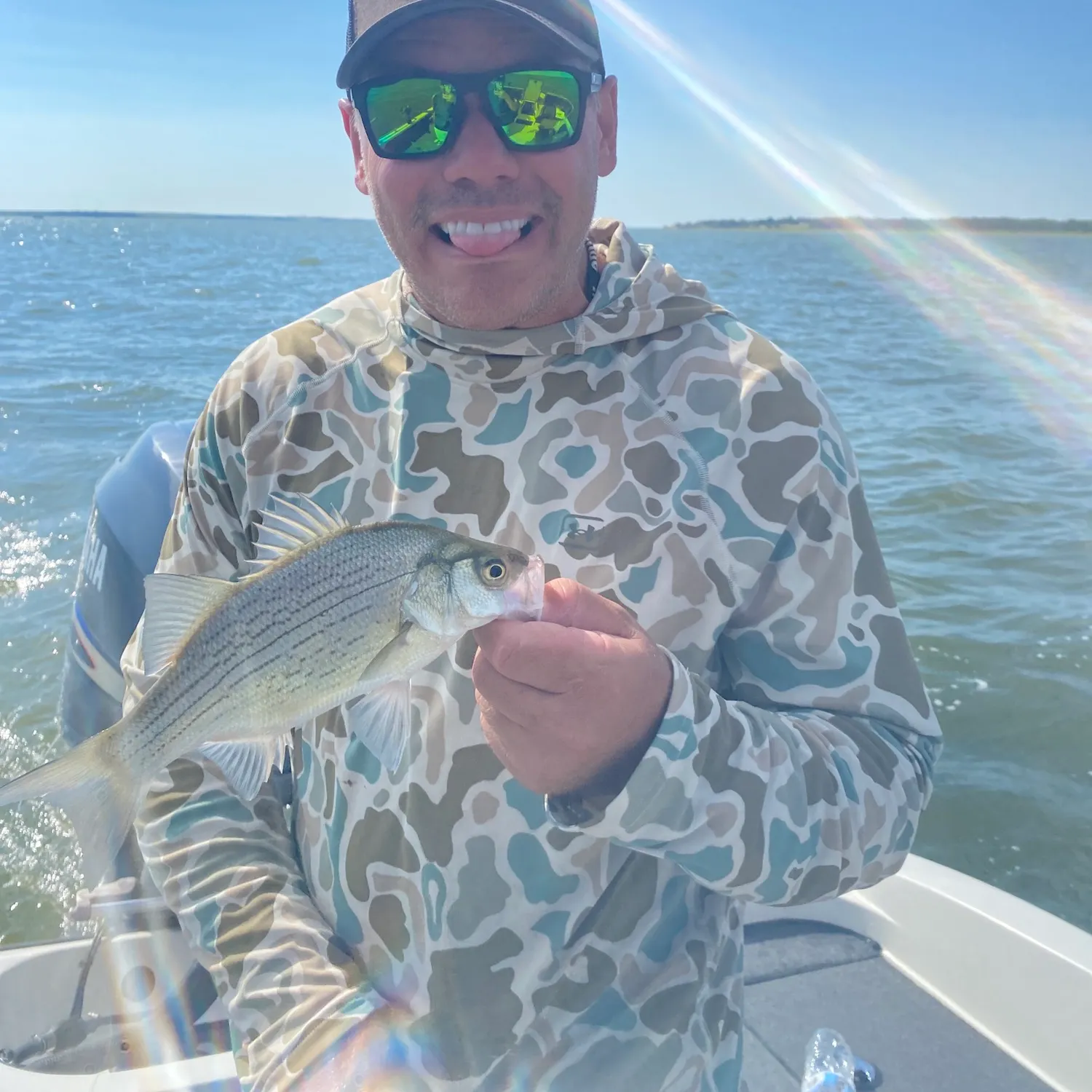 White bass caught on Fishbrain