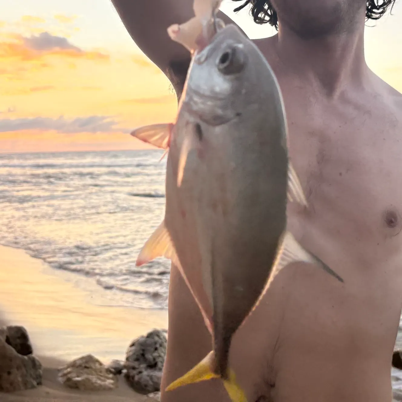 The most recent Horse-eye jack catches on Fishbrain