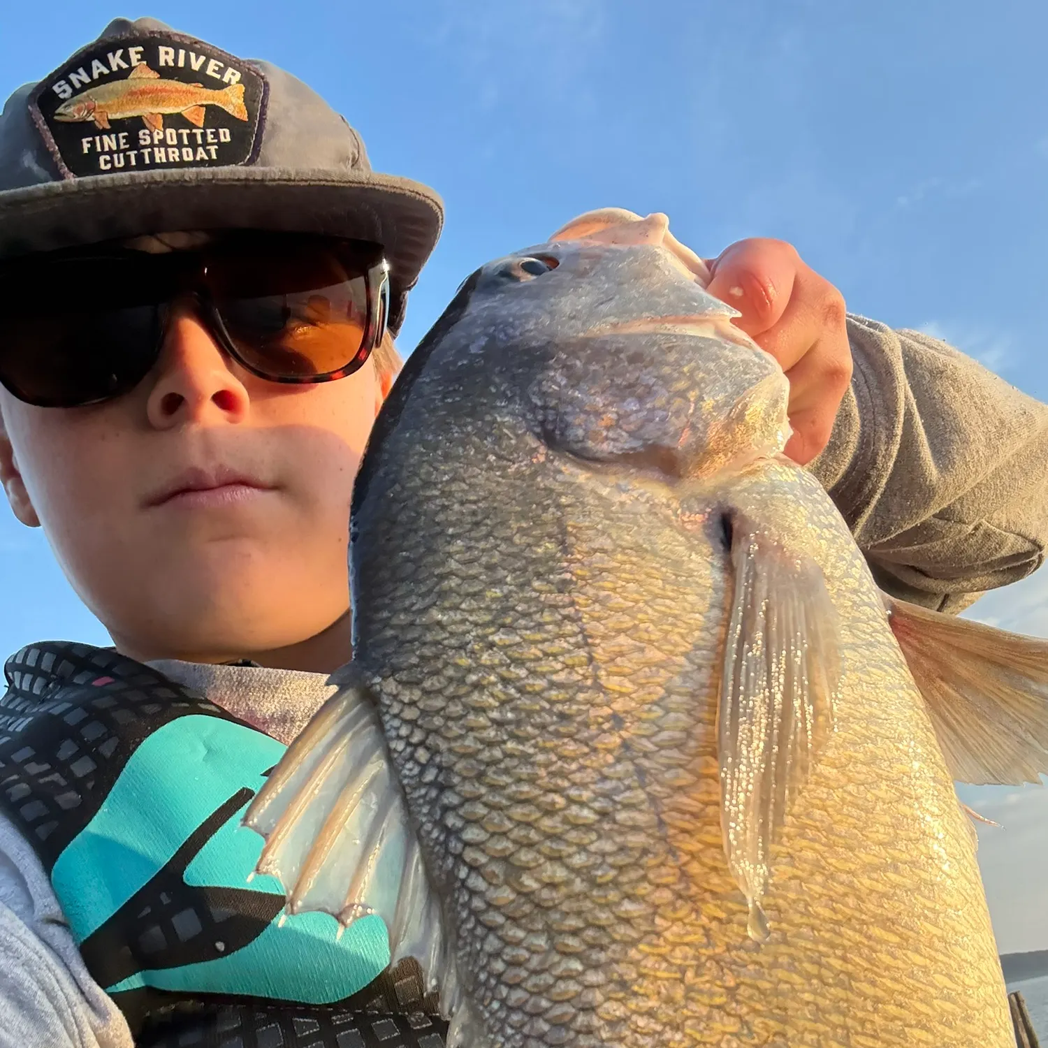 The most recent Freshwater drum catches on Fishbrain