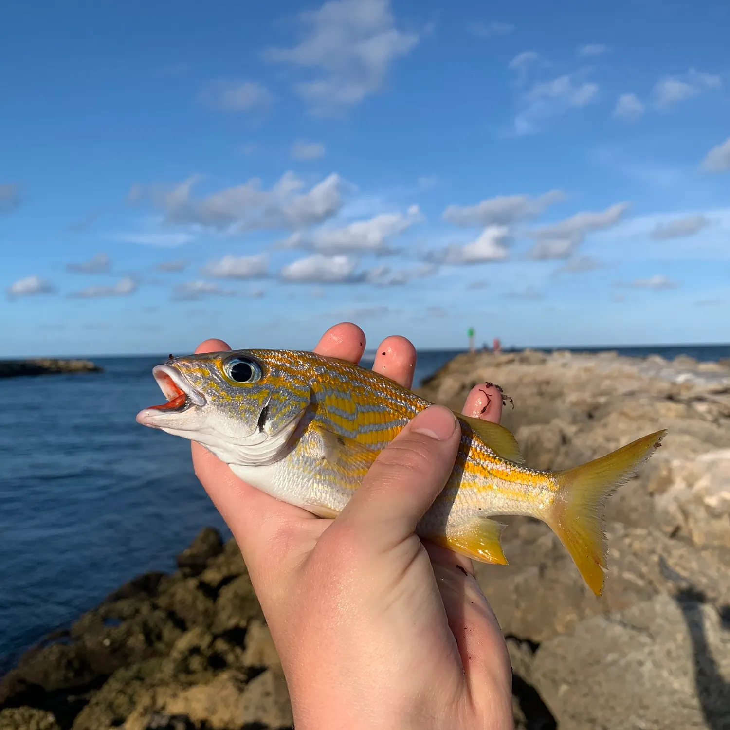 catch