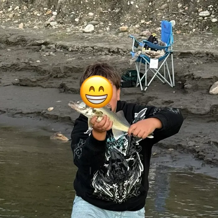 Walleye caught on Fishbrain