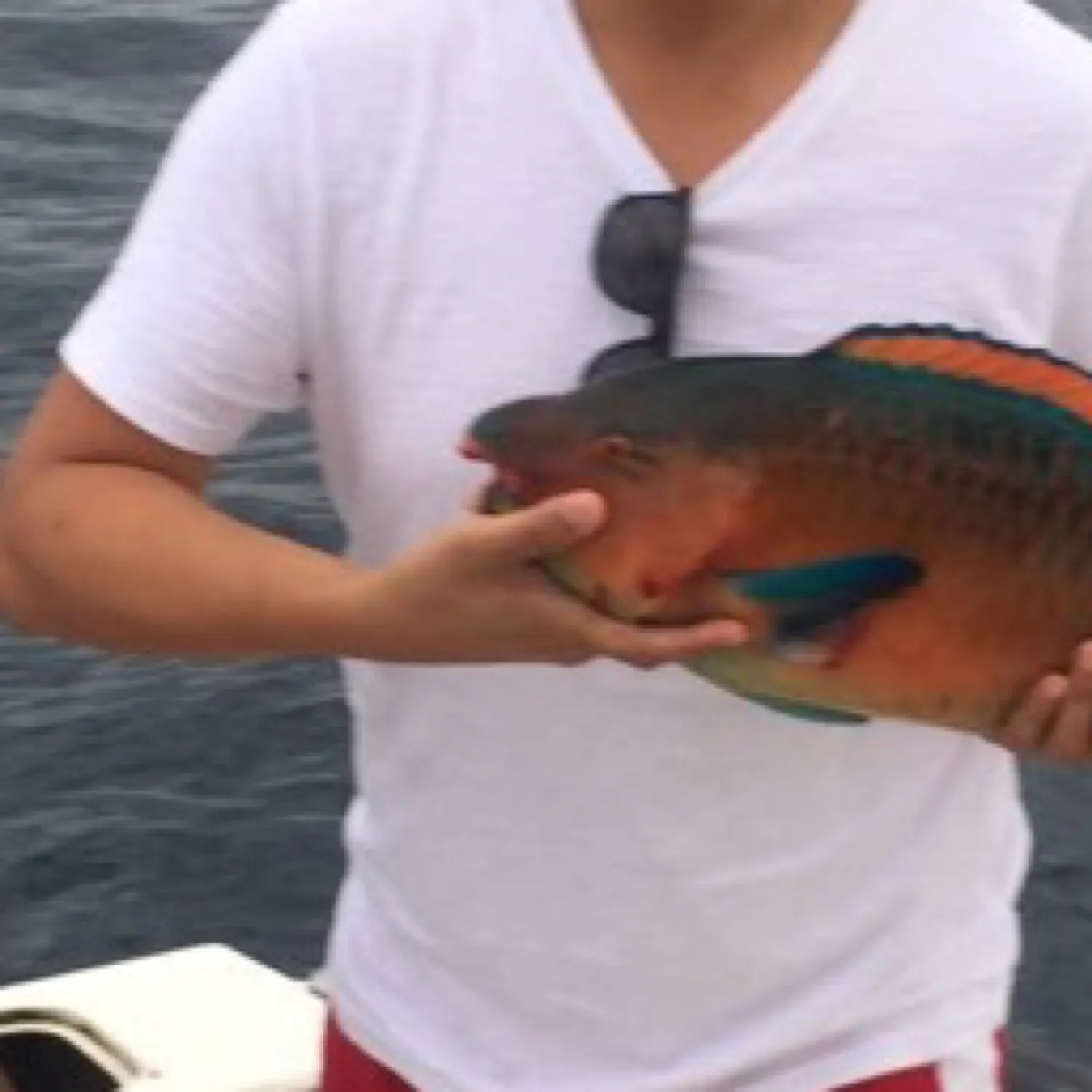 angler catch