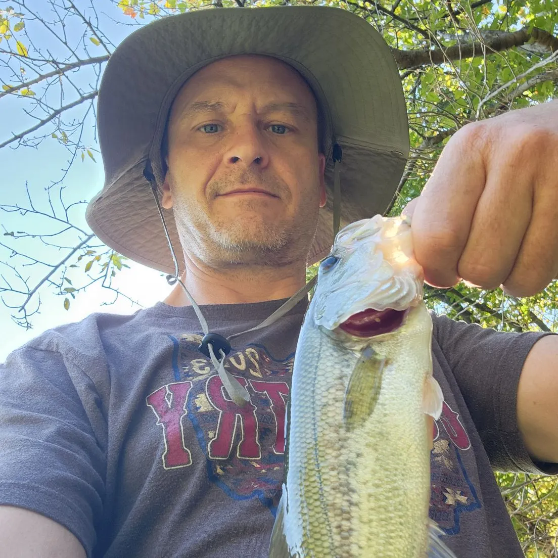 Largemouth bass caught on Fishbrain