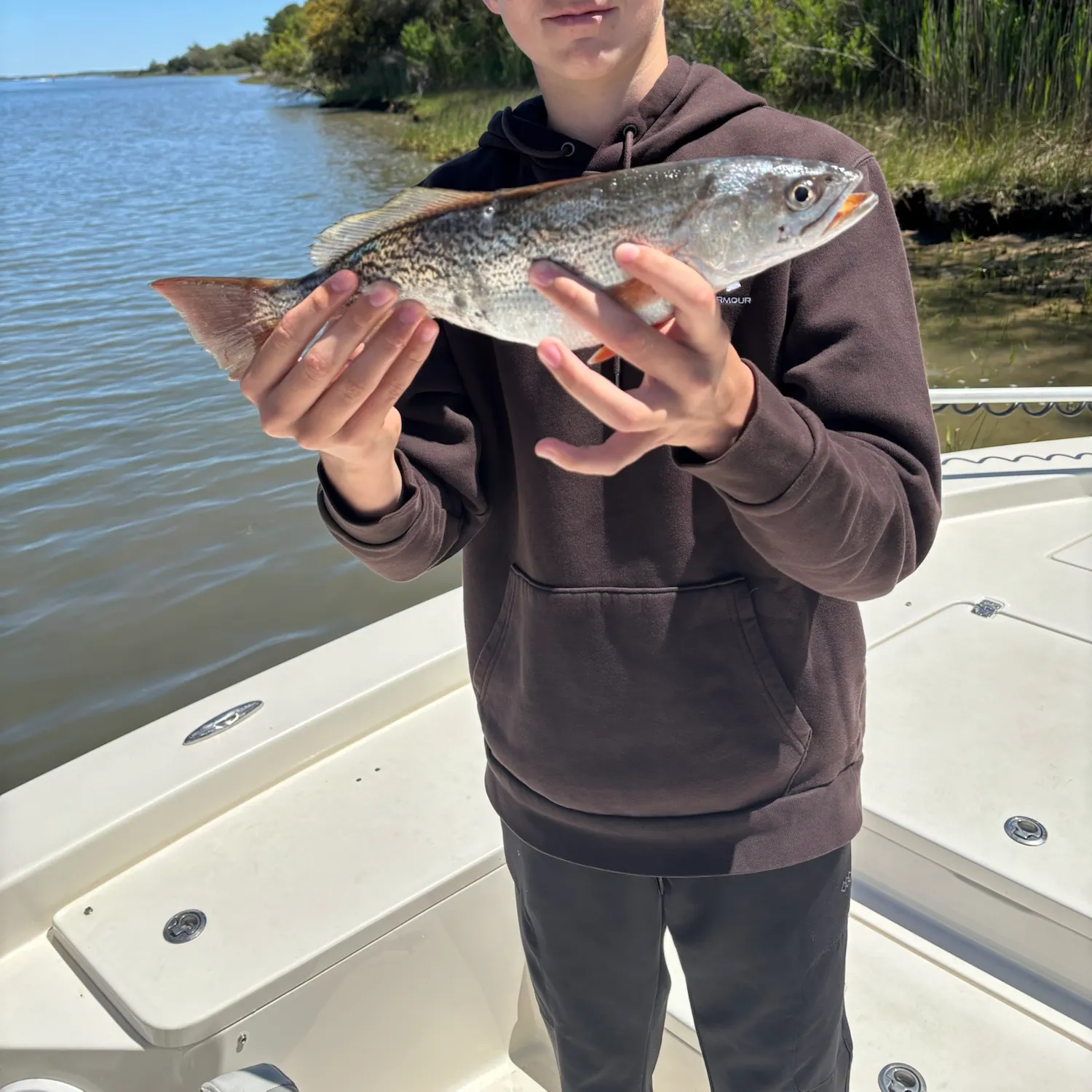The most recent Gray weakfish catches on Fishbrain