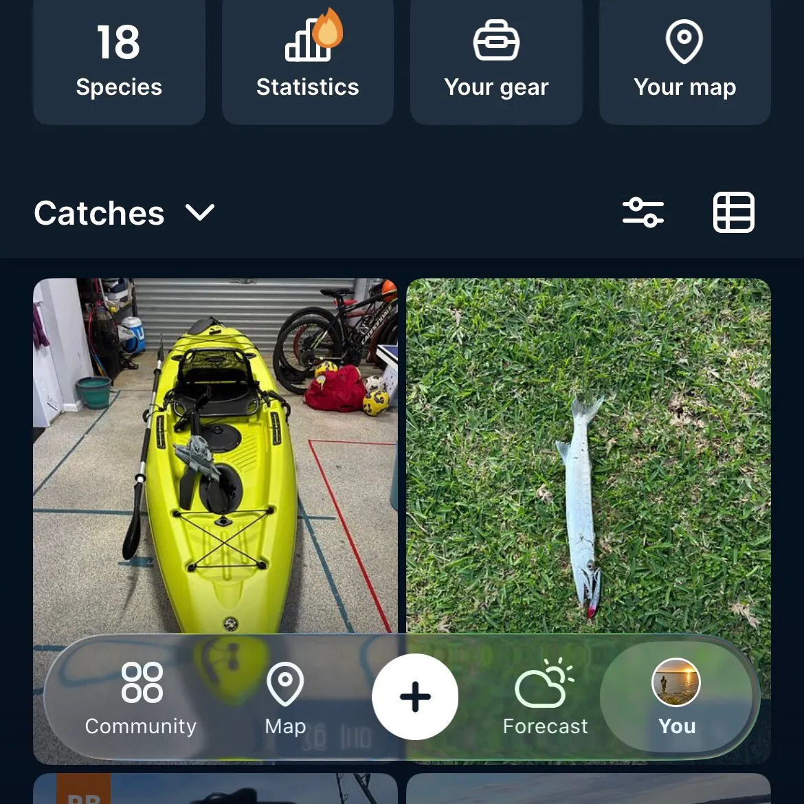 recently logged catches