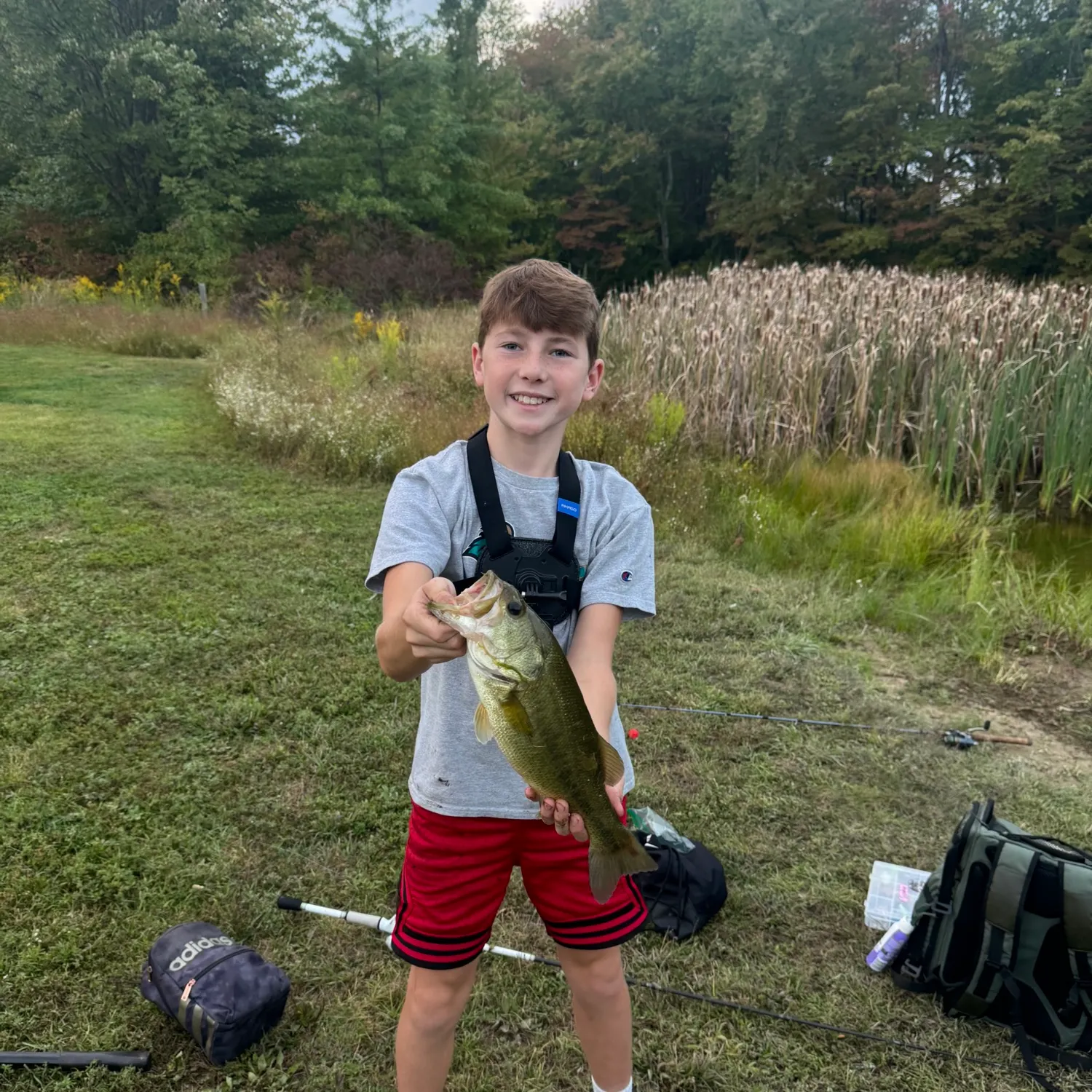Largemouth bass caught on Fishbrain