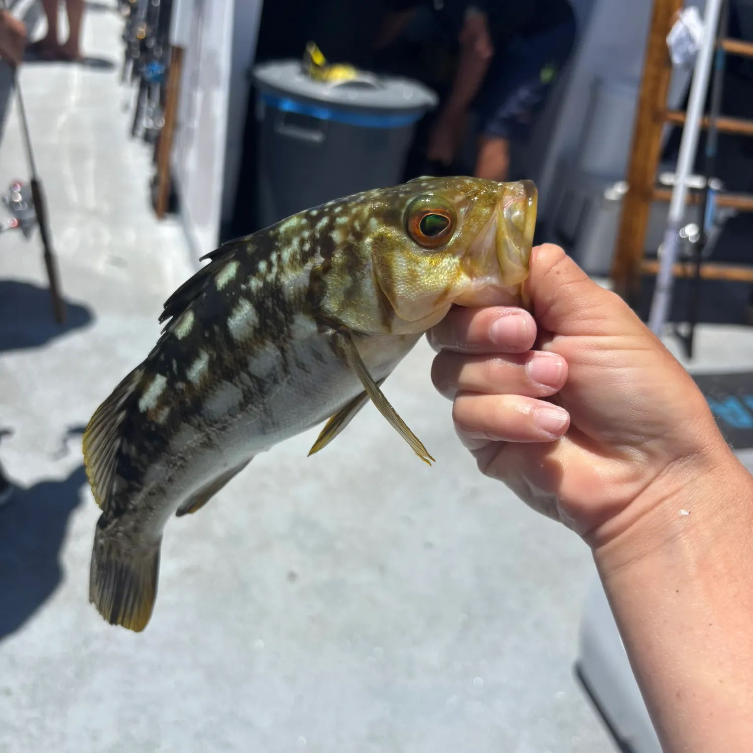 catch