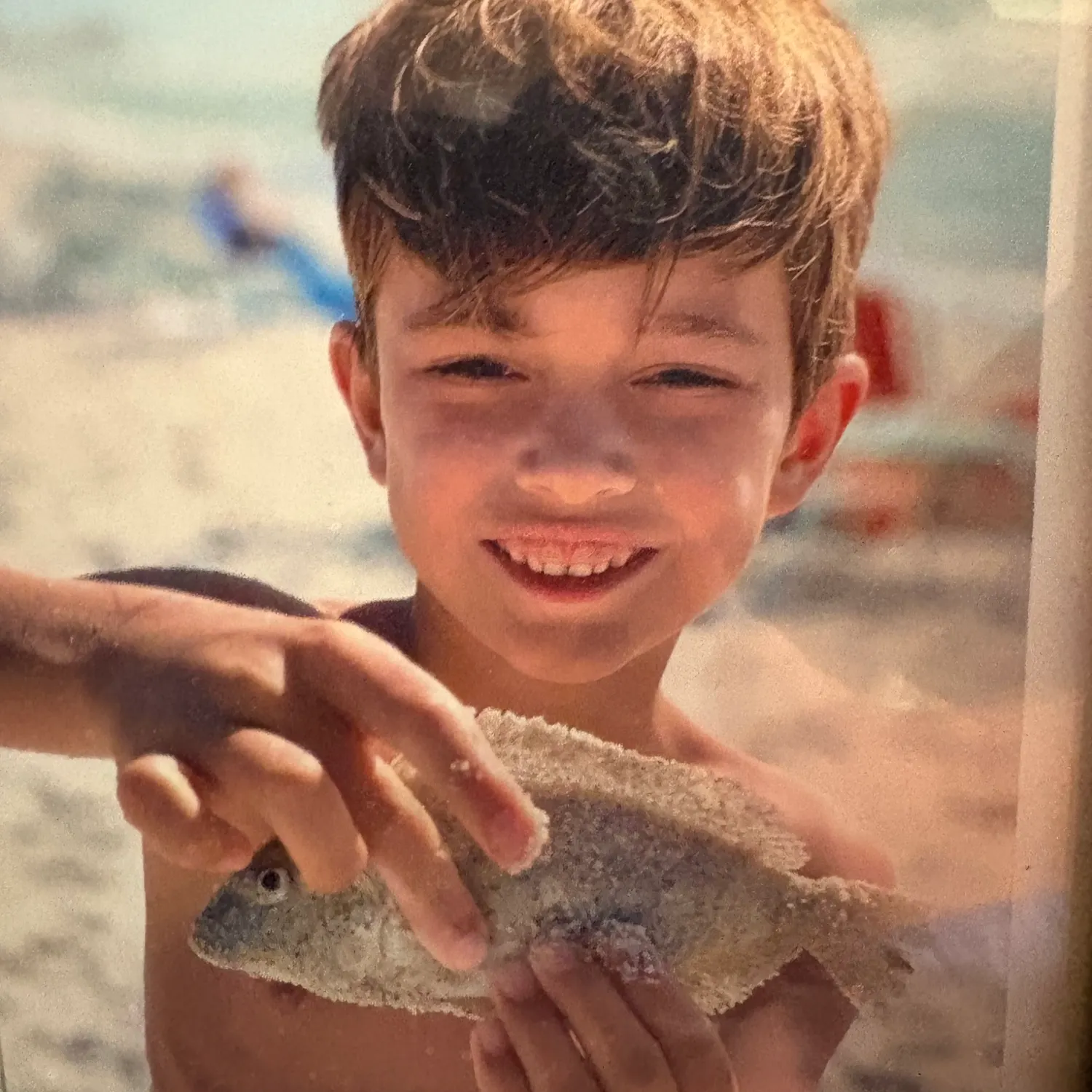 Pinfish caught on Fishbrain