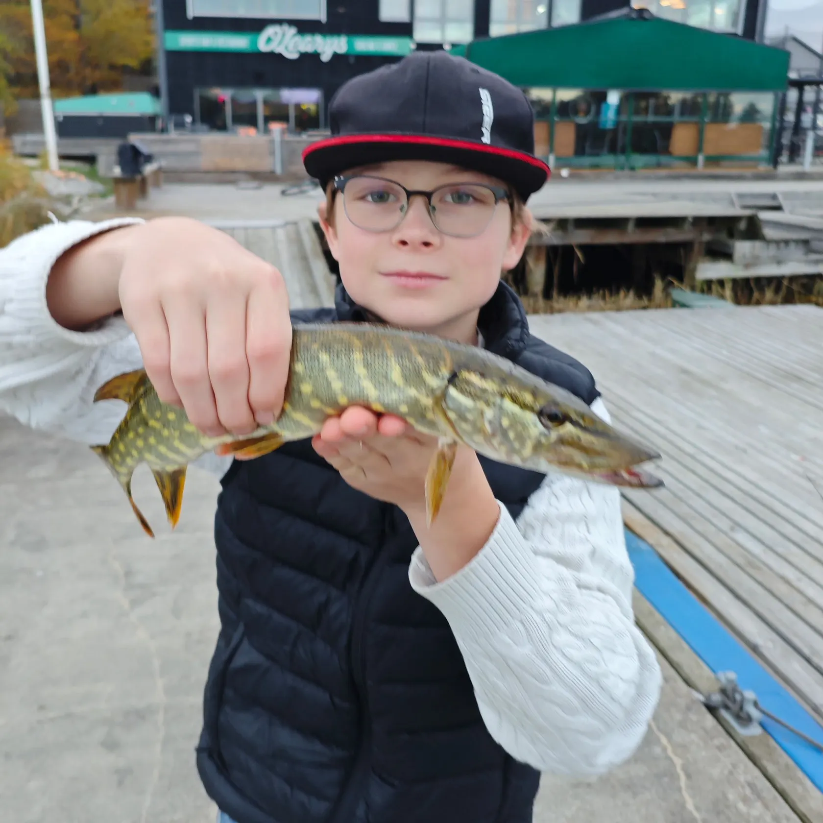 Northern pike caught on Fishbrain