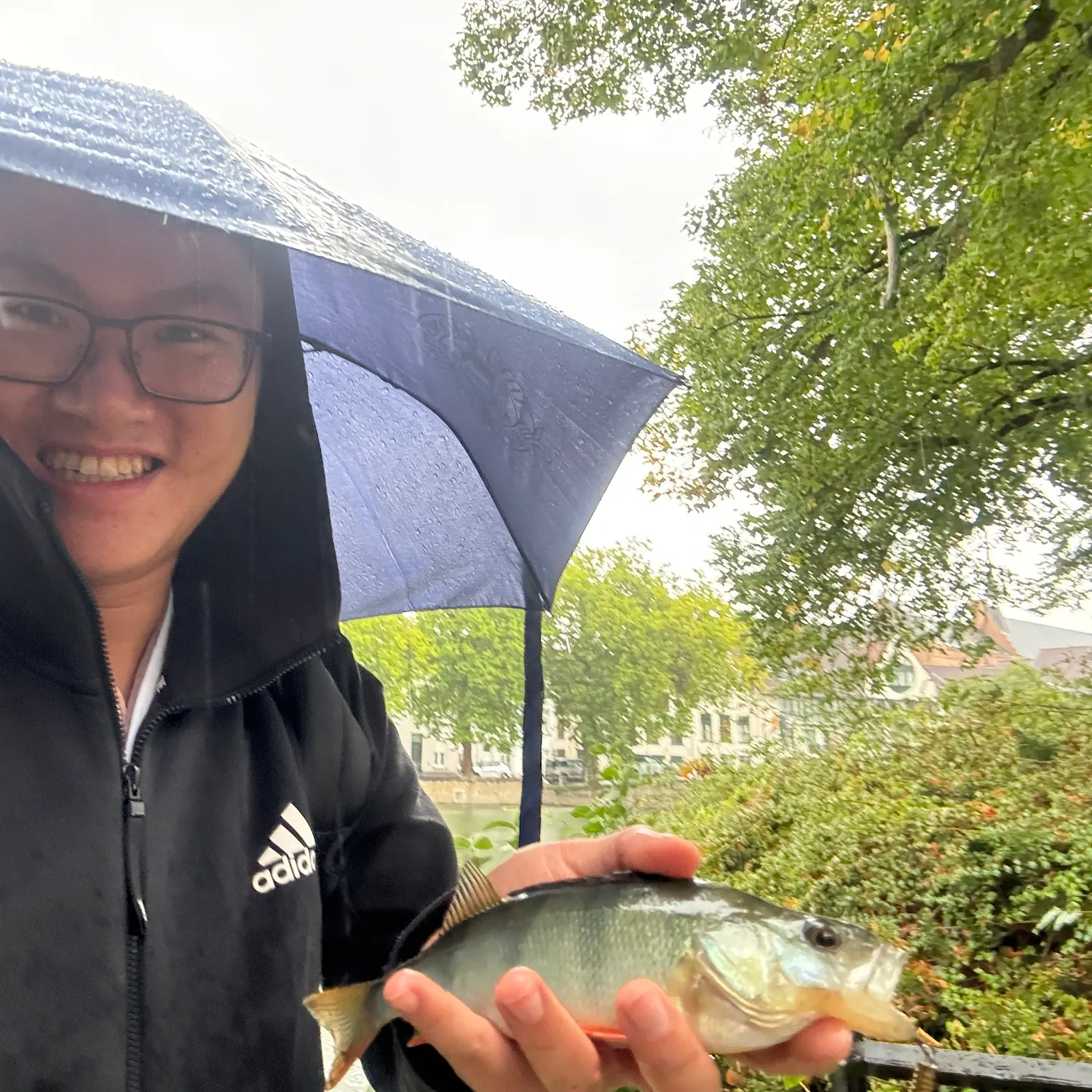 European perch caught on Fishbrain