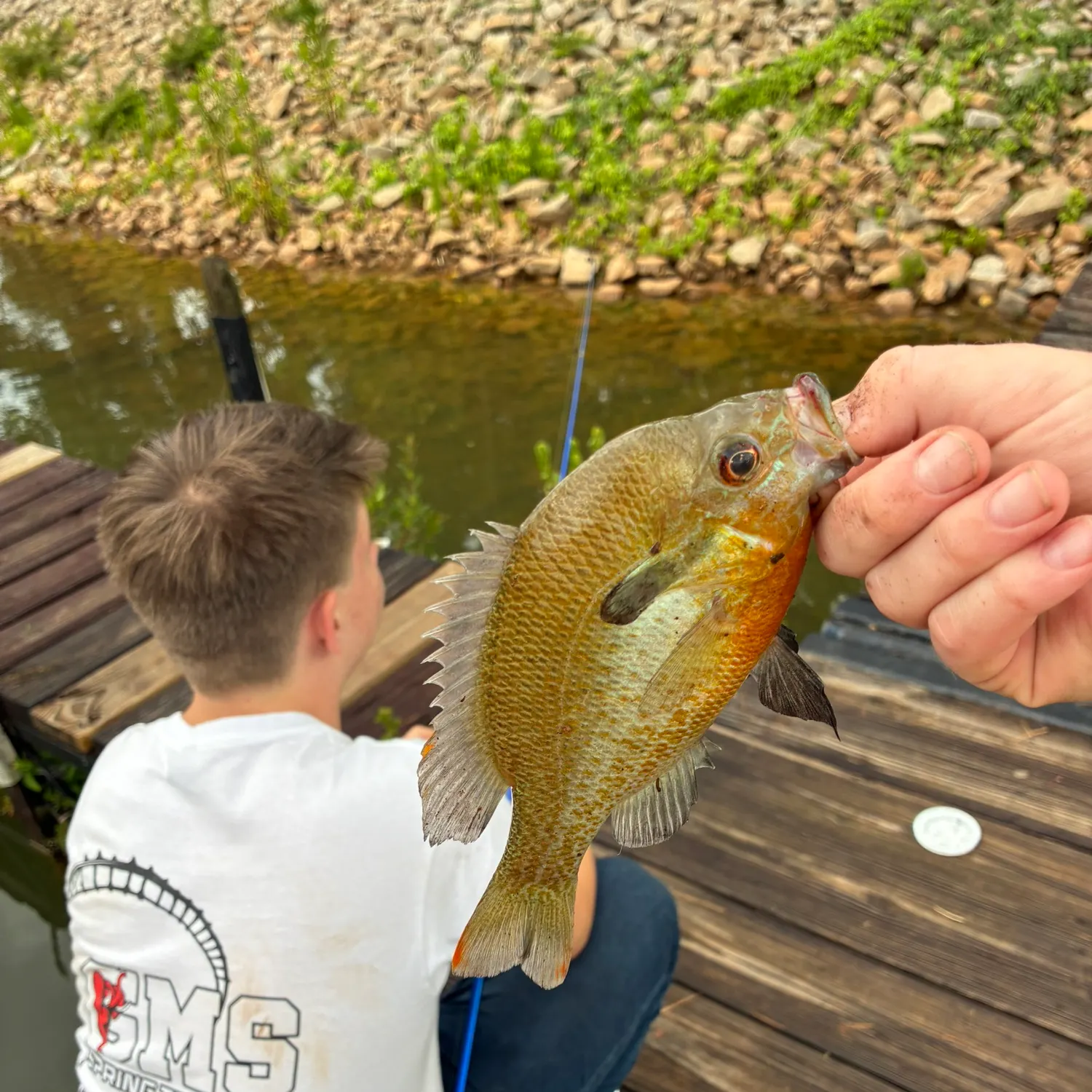 The most recent Redbreast × green sunfish catches on Fishbrain