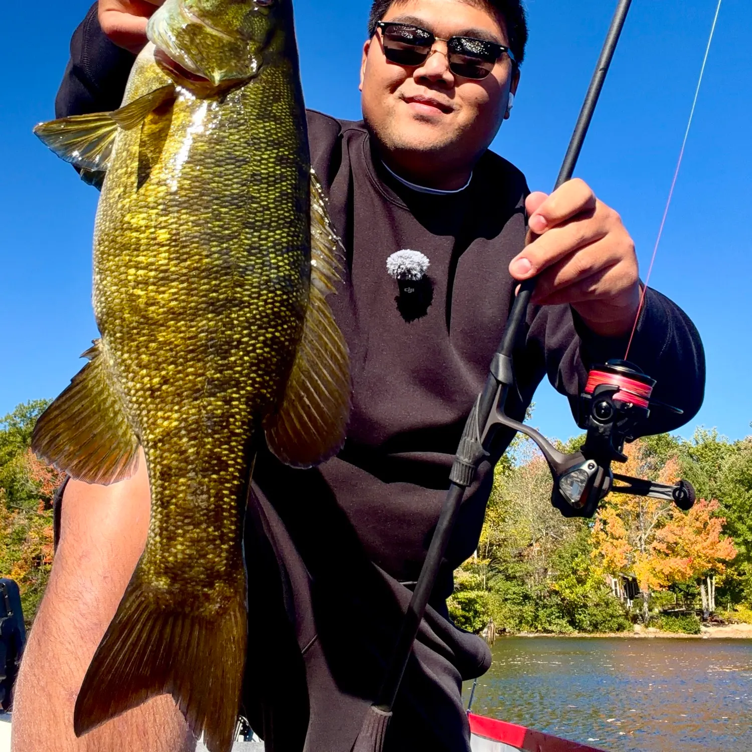 Smallmouth bass caught on Fishbrain