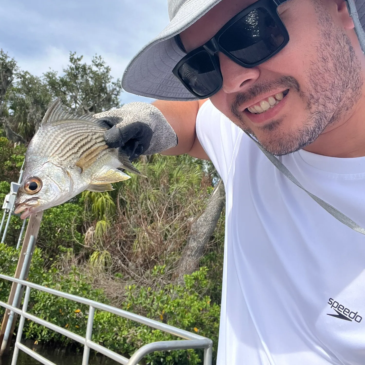 The most recent Striped mojarra catches on Fishbrain