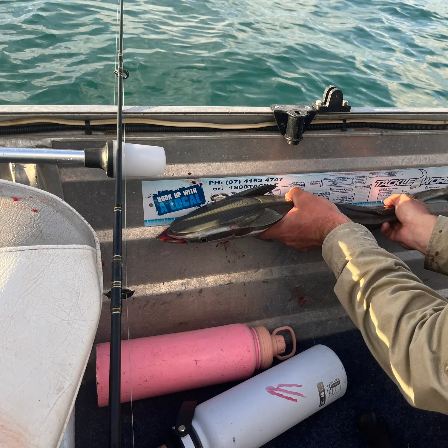 recently logged catches